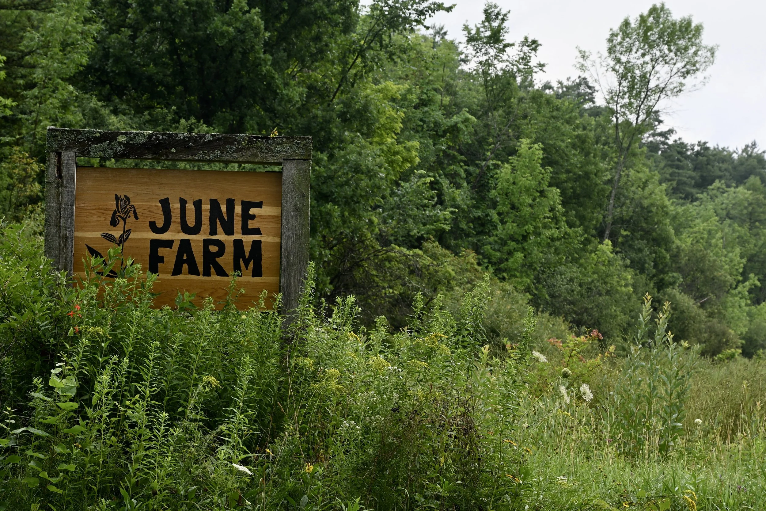 June Flower Farm, Charlotte, Vermont