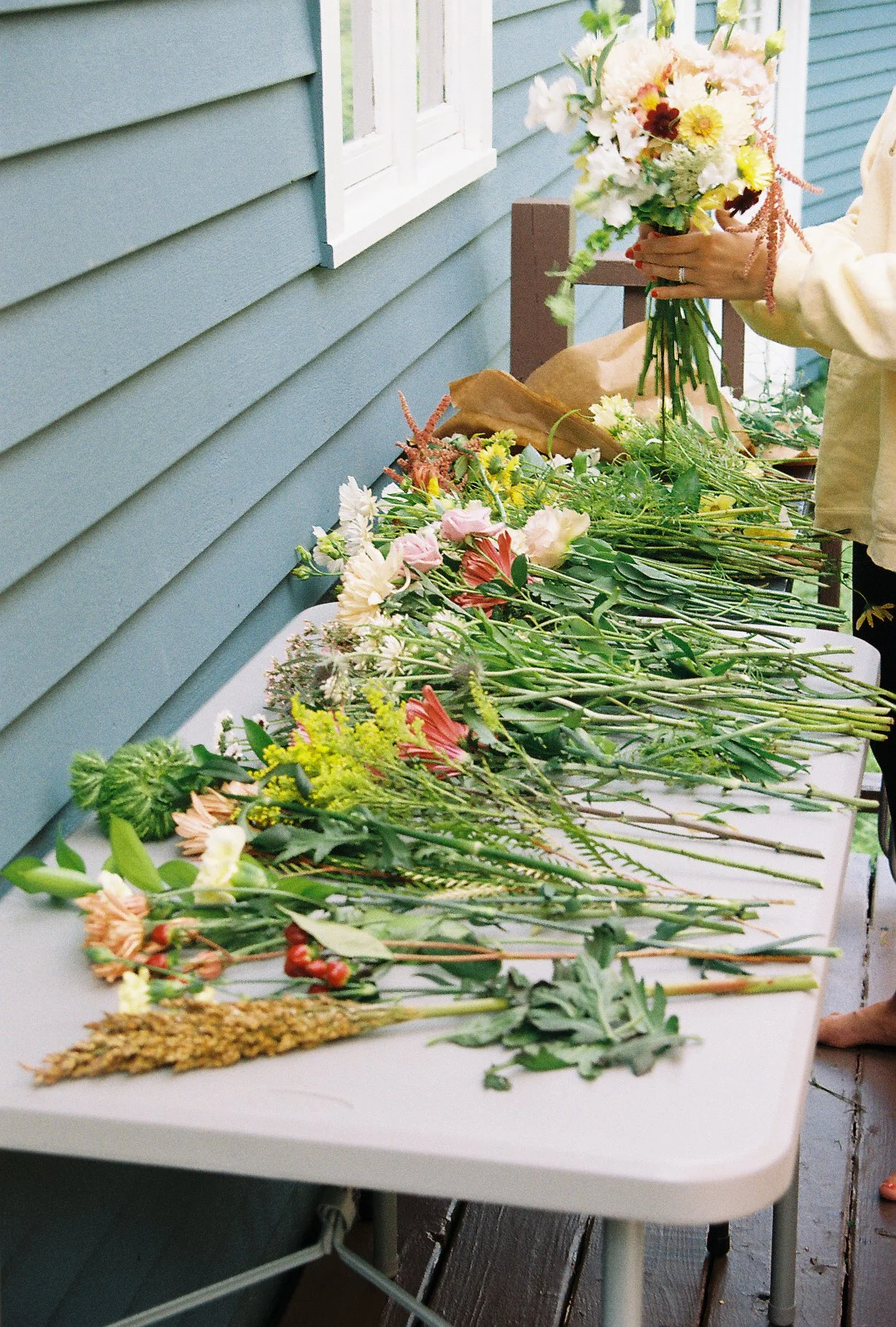Flower party on film