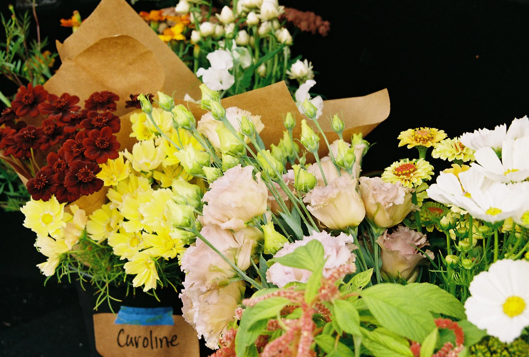 Flowers on film