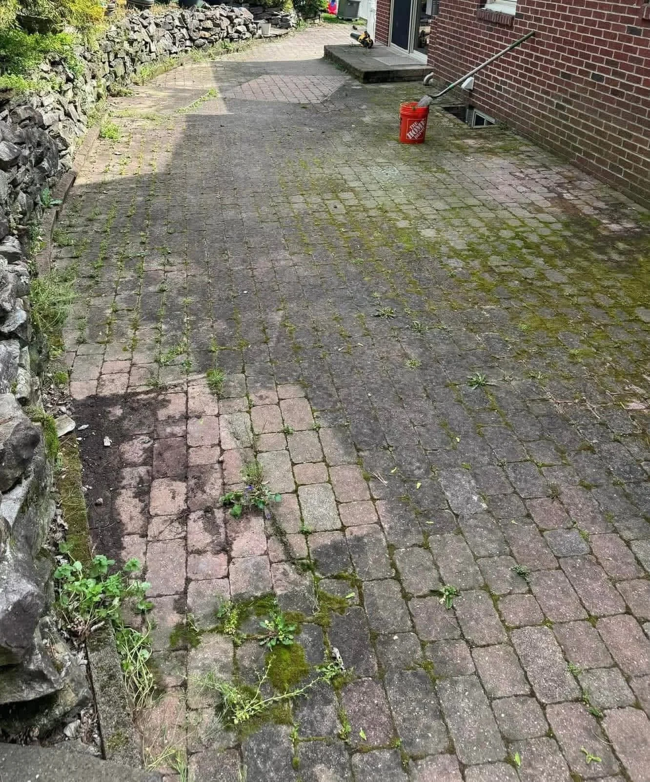 A brick-paved outdoor patio with moss growing between the bricks, a stone wall on the left, and a red brick house on the right. There is a red bucket with a shovel in it near the house, and some small plants and weeds growing through the cracks.