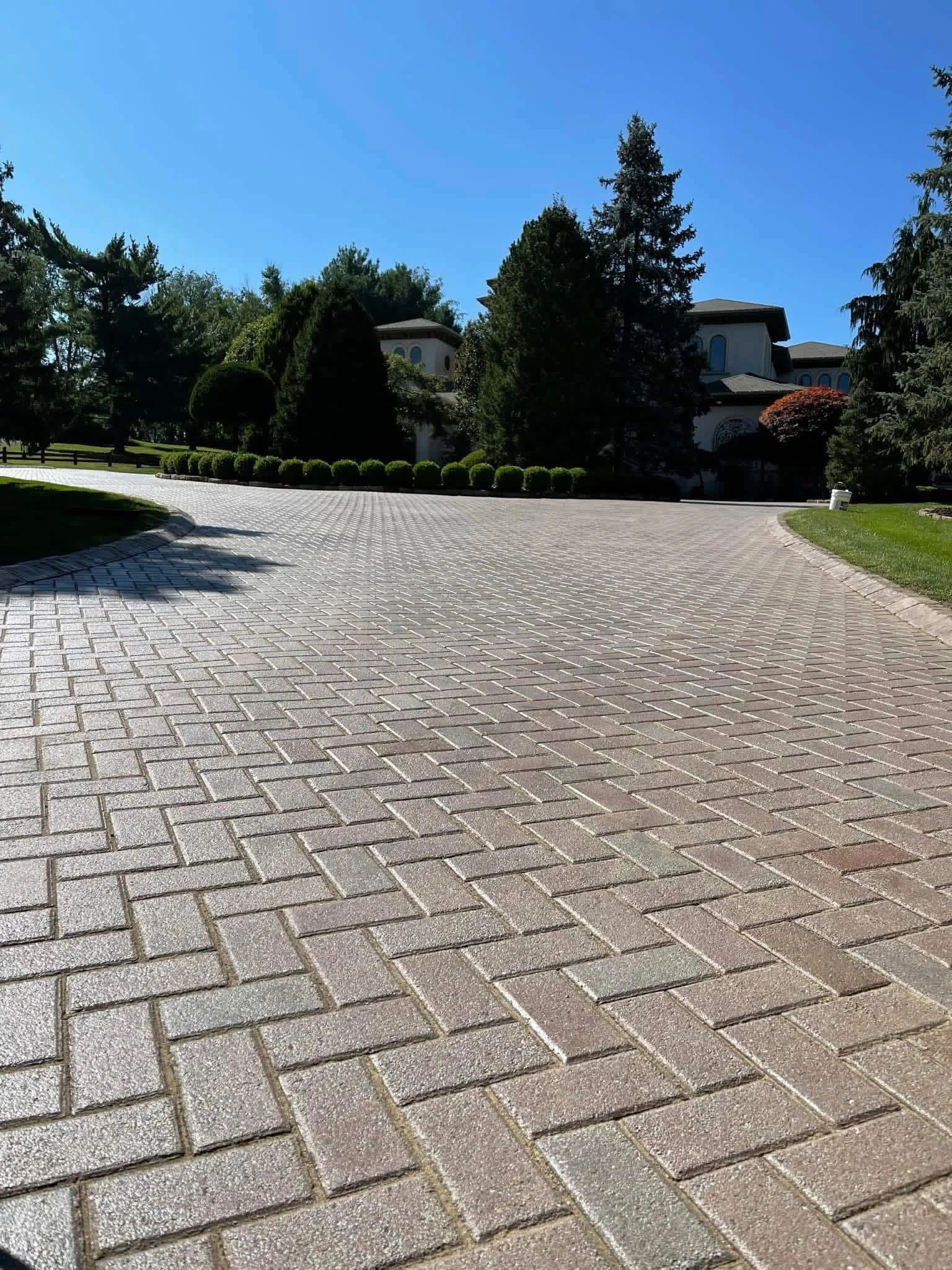 A wide view of a paved driveway leading to a large house surrounded by trees and bushes on a sunny day with a clear blue sky.