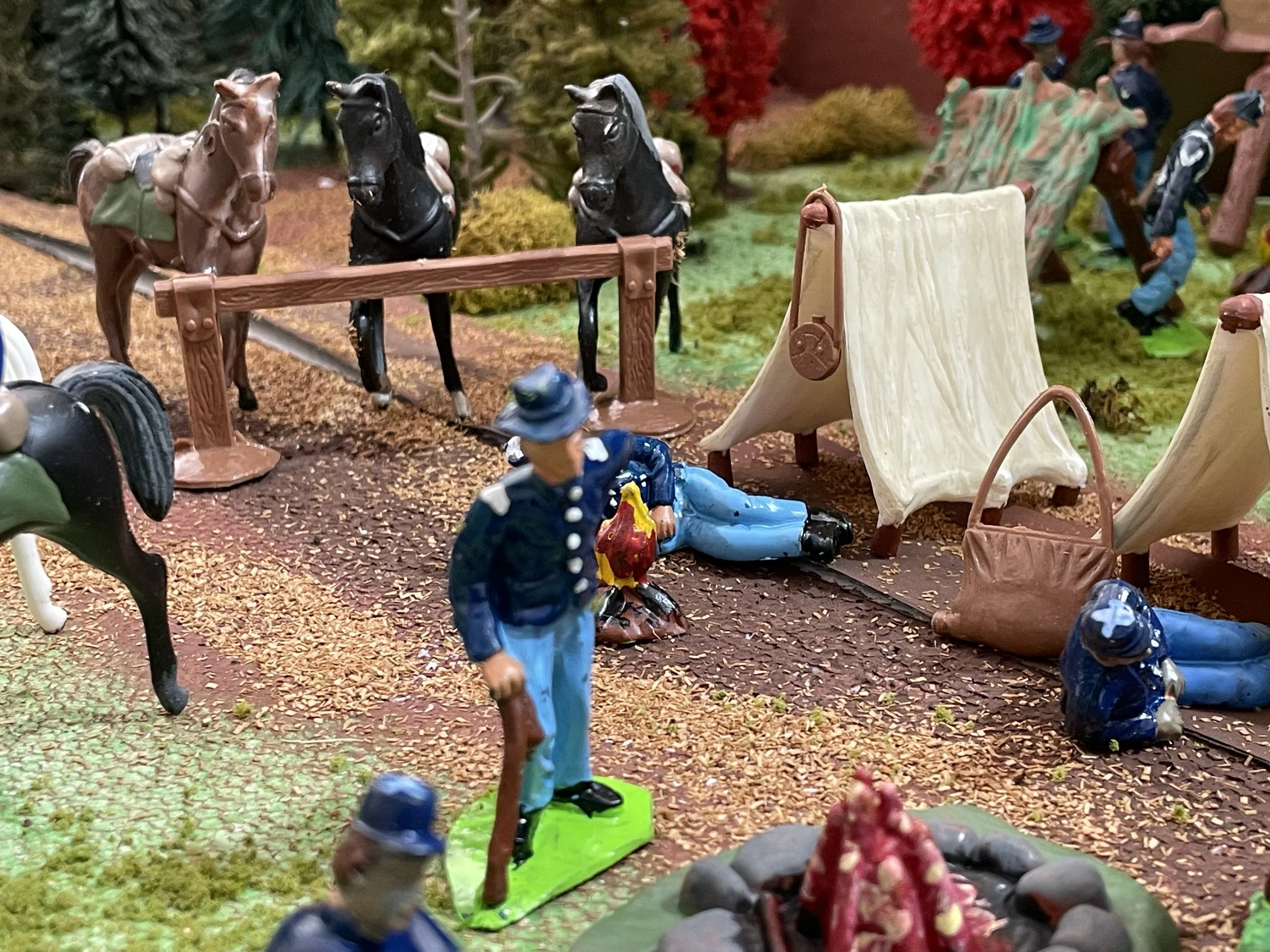 Cavalry horses were tethered in organized lines near camp, ready for rapid movement at a moment’s notice.