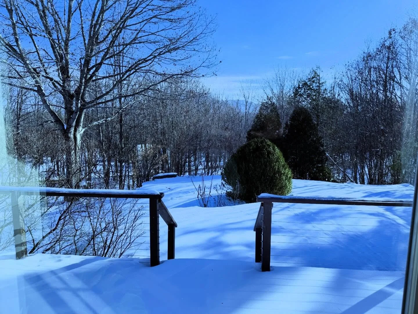 Fresh 🏠 fresh ❄️