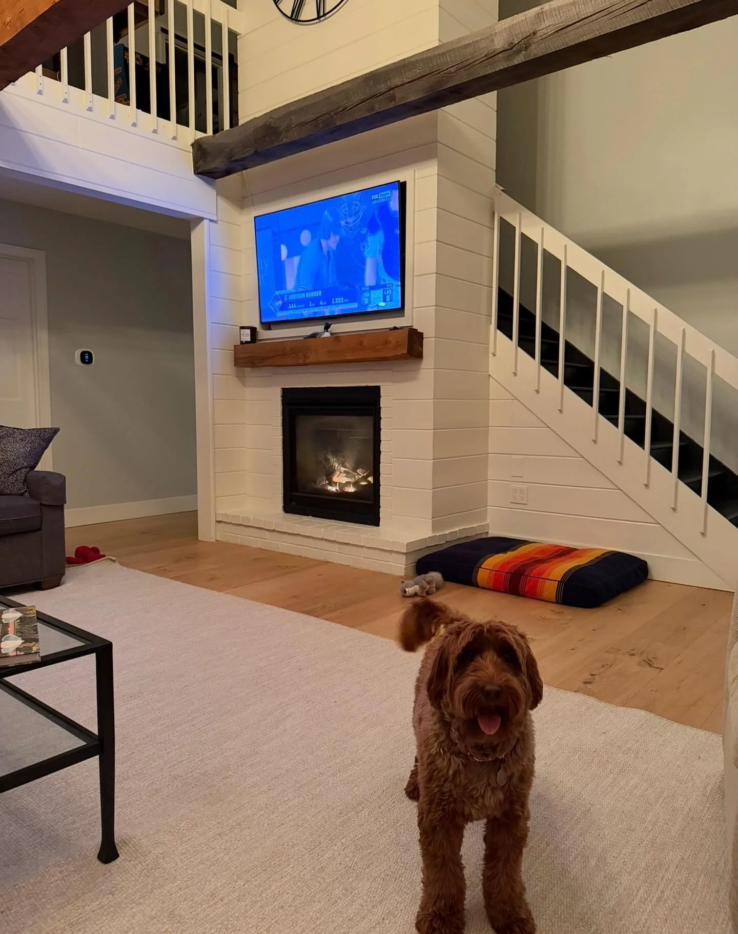 All 🇦🇺 doodles welcome #ausdoodle #doodle