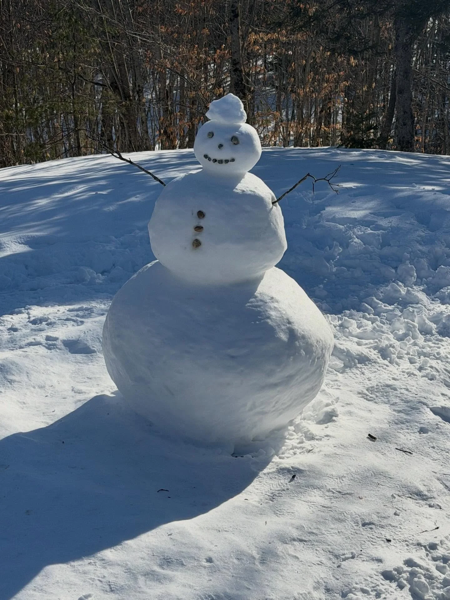 @birchmerecollective arrived after check-out to find our first &ldquo;squatter&rdquo; - doubtful we evict, however&hellip; ☃️ #BigMeadow #Sunapee #RaggedMountain