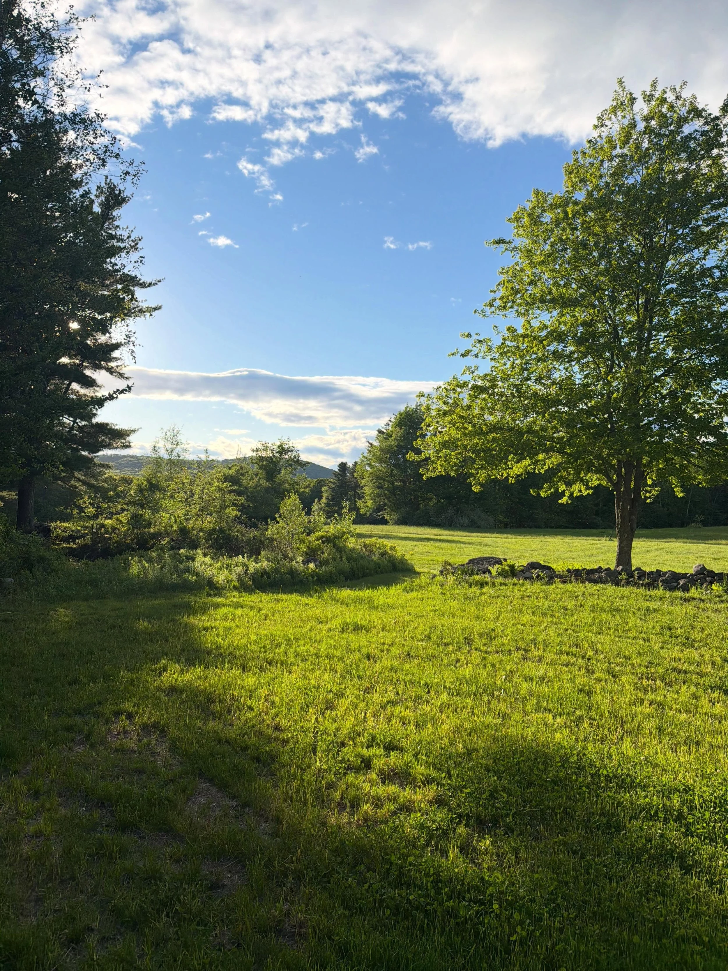 #nofilter #bigmeadow