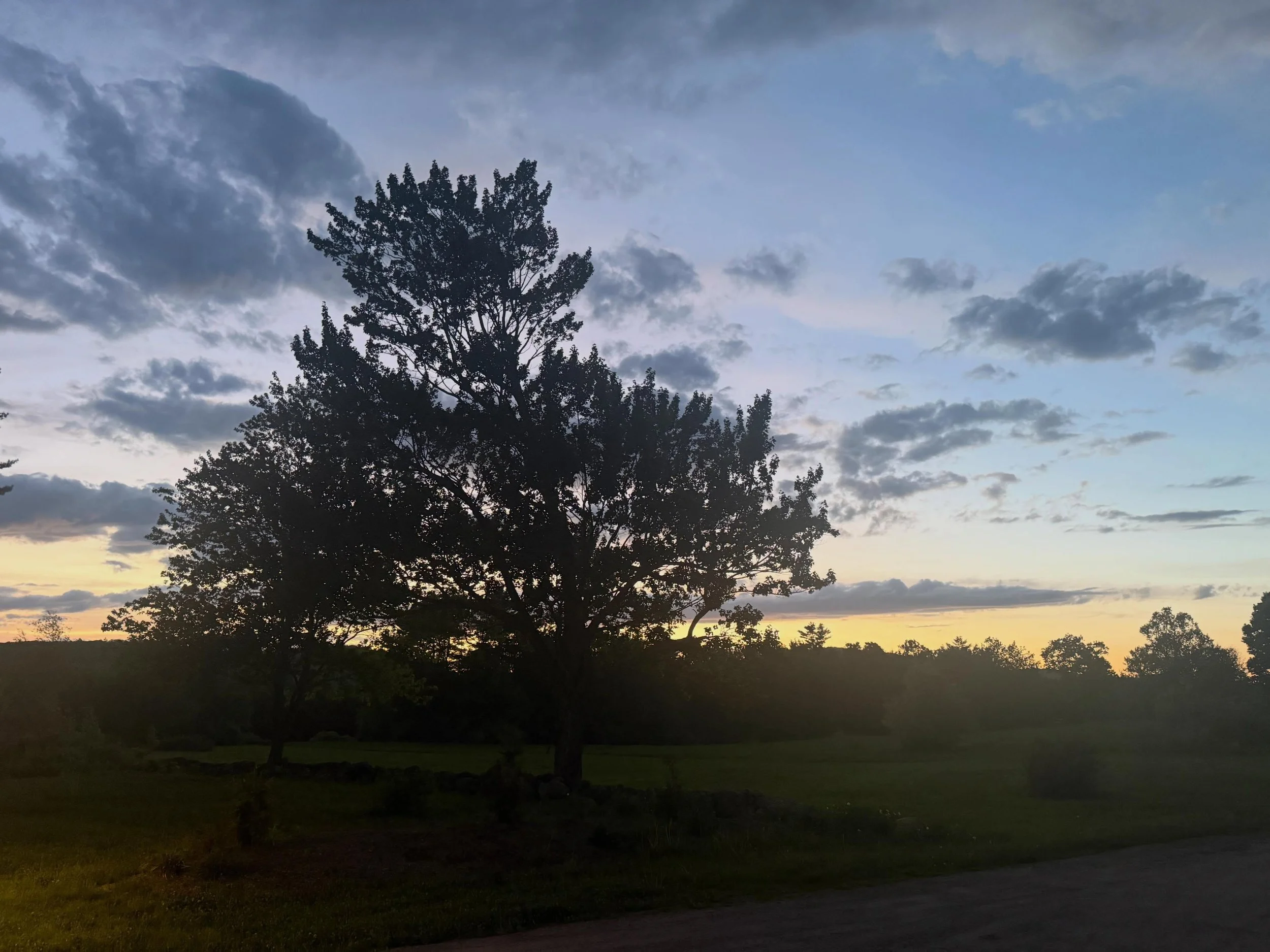 #nofilter #bigmeadow
