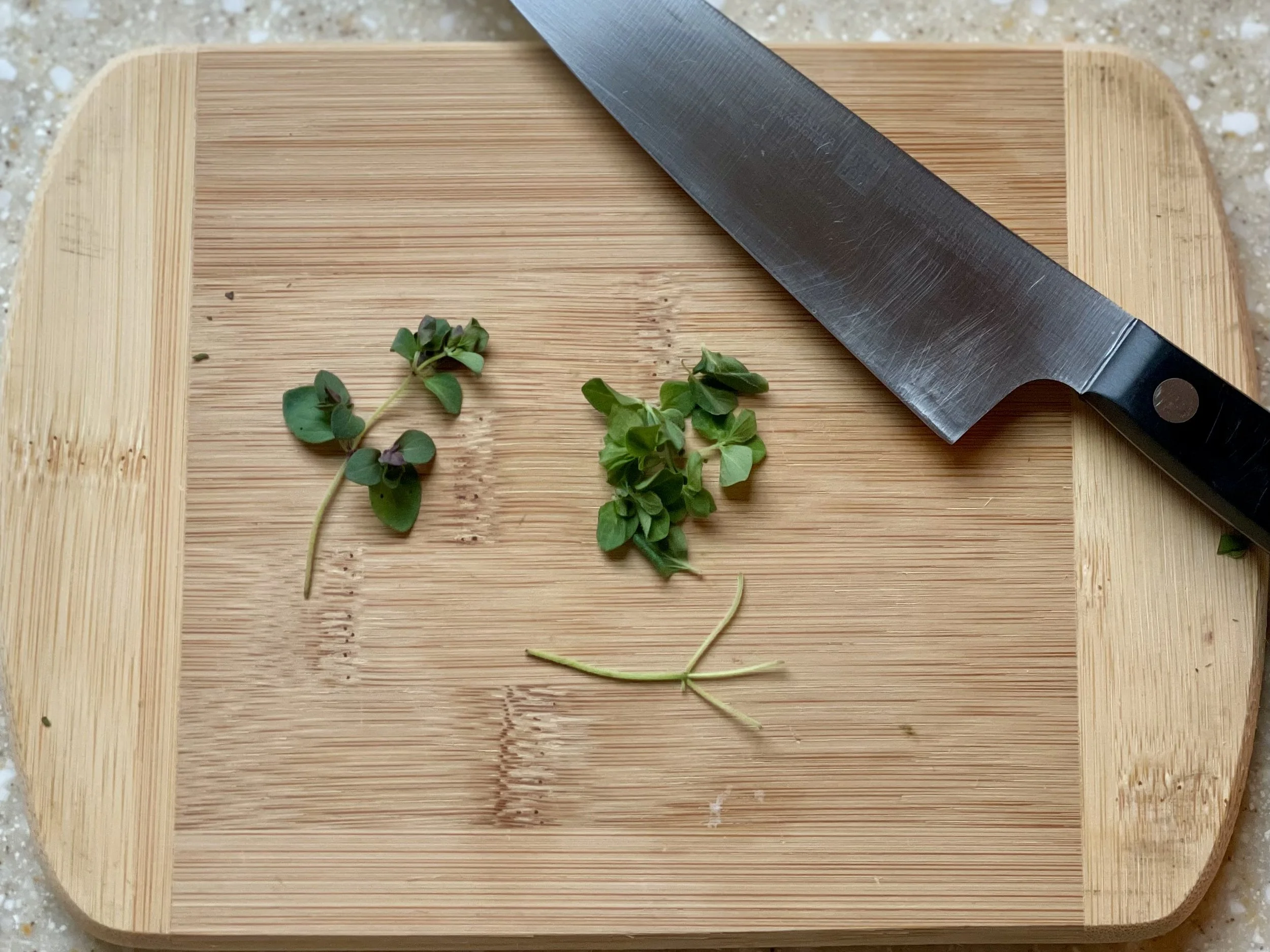 Greek Oregano1.jpeg