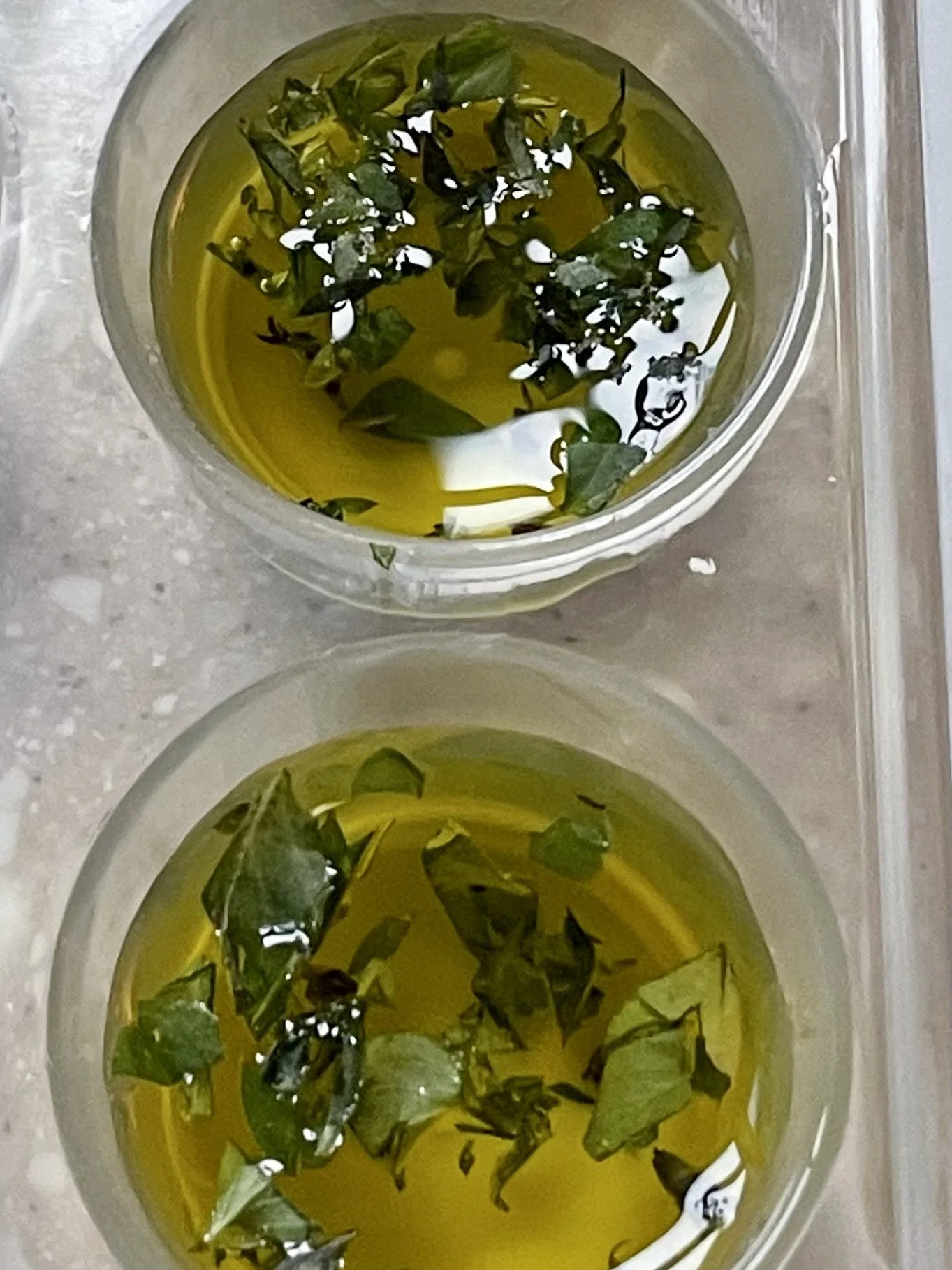 Greek Oregano2.jpeg