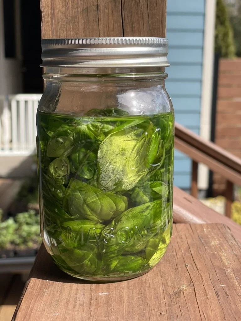 Genovese Basil Oil.jpeg