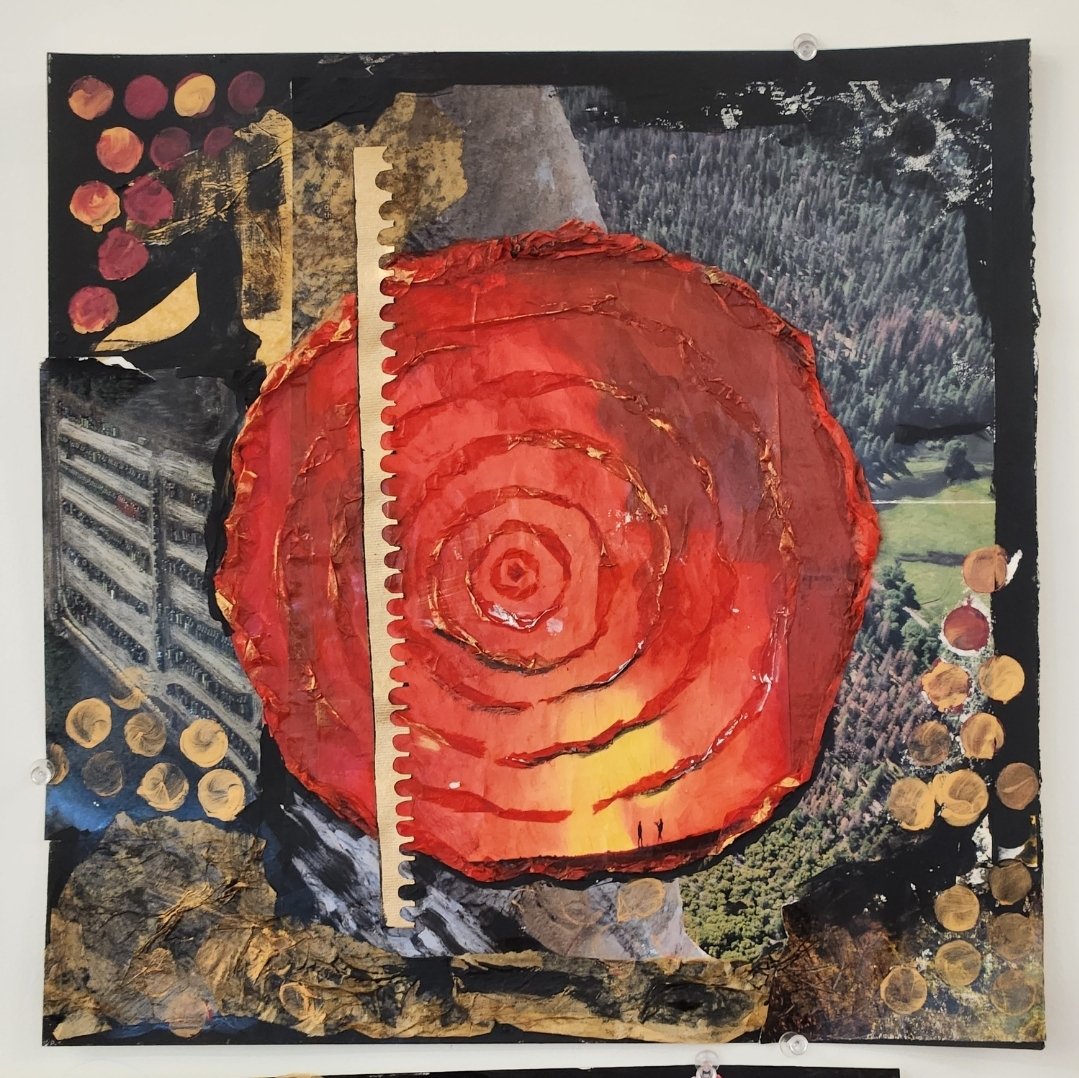 Deforestation colladge