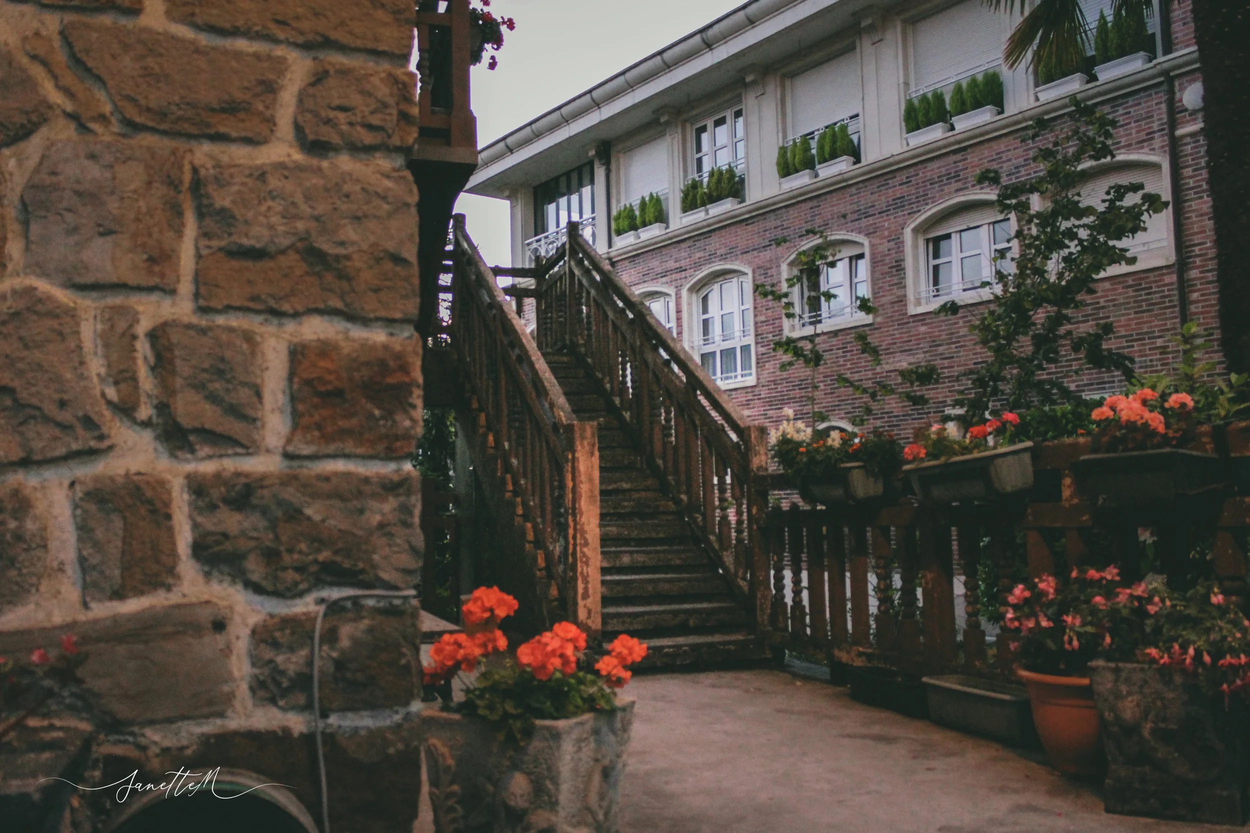 Escalera de madera en un patio con paredes de ladrillo y muchas plantas y flores en macetas