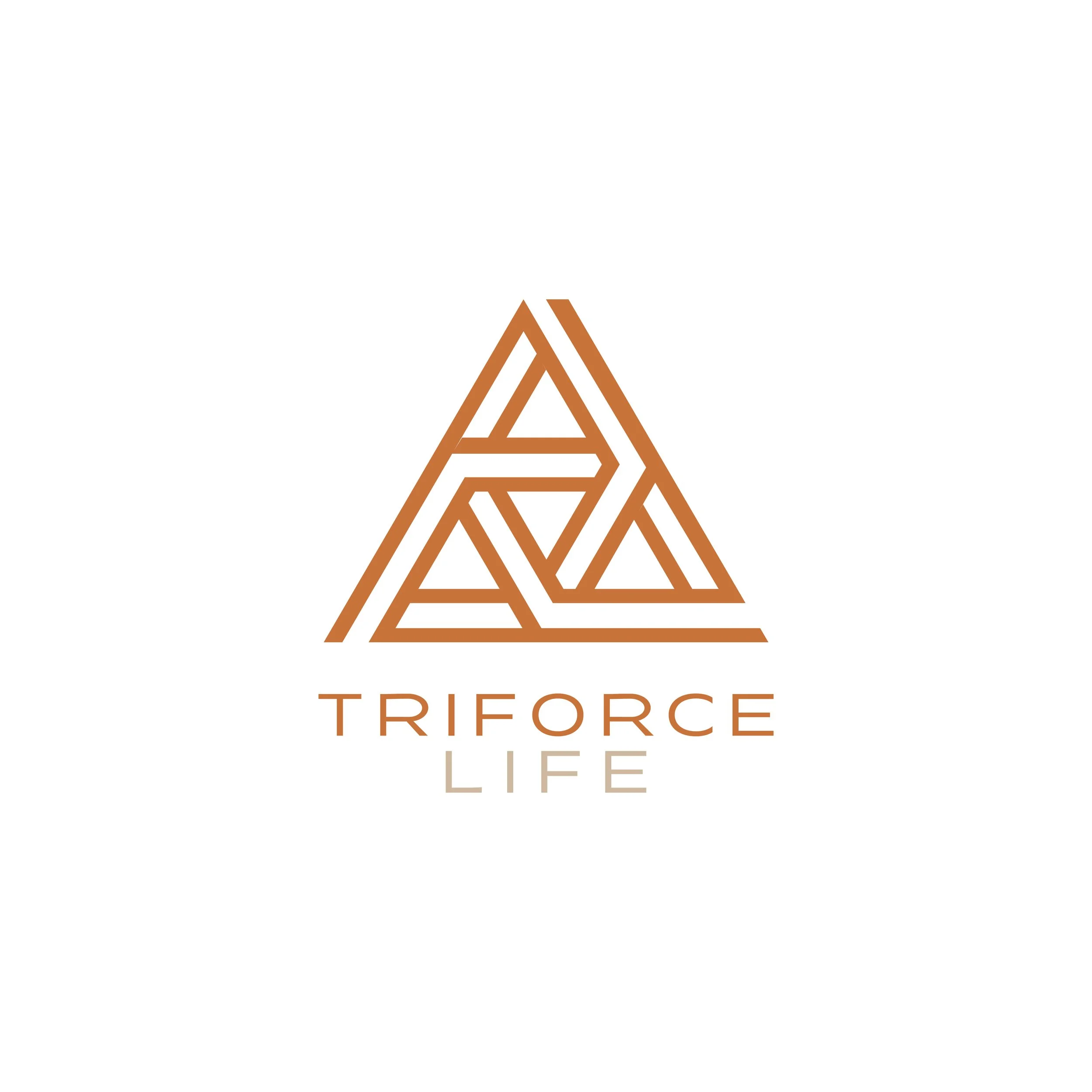 Logotipo de un triángulo formado por líneas entrelazadas en color marrón con la palabra 'TRIFORCE' en mayúsculas y 'LIFE' en minúsculas debajo.