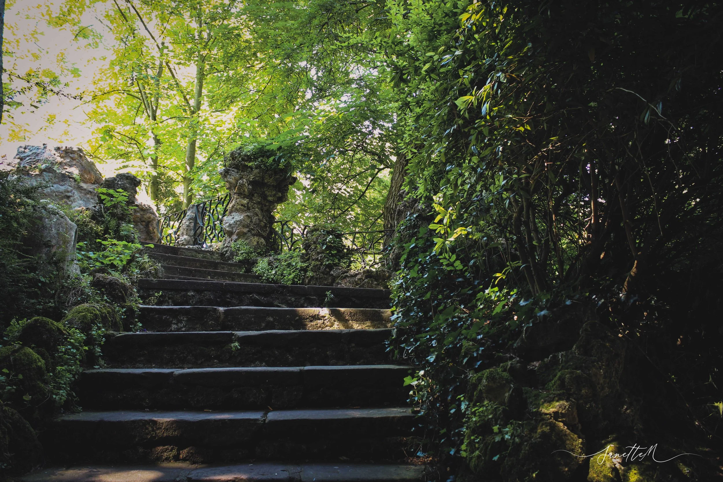 Escalera de piedra antigua en un entorno forestal con árboles y vegetación verde que deja pasar luz del sol.