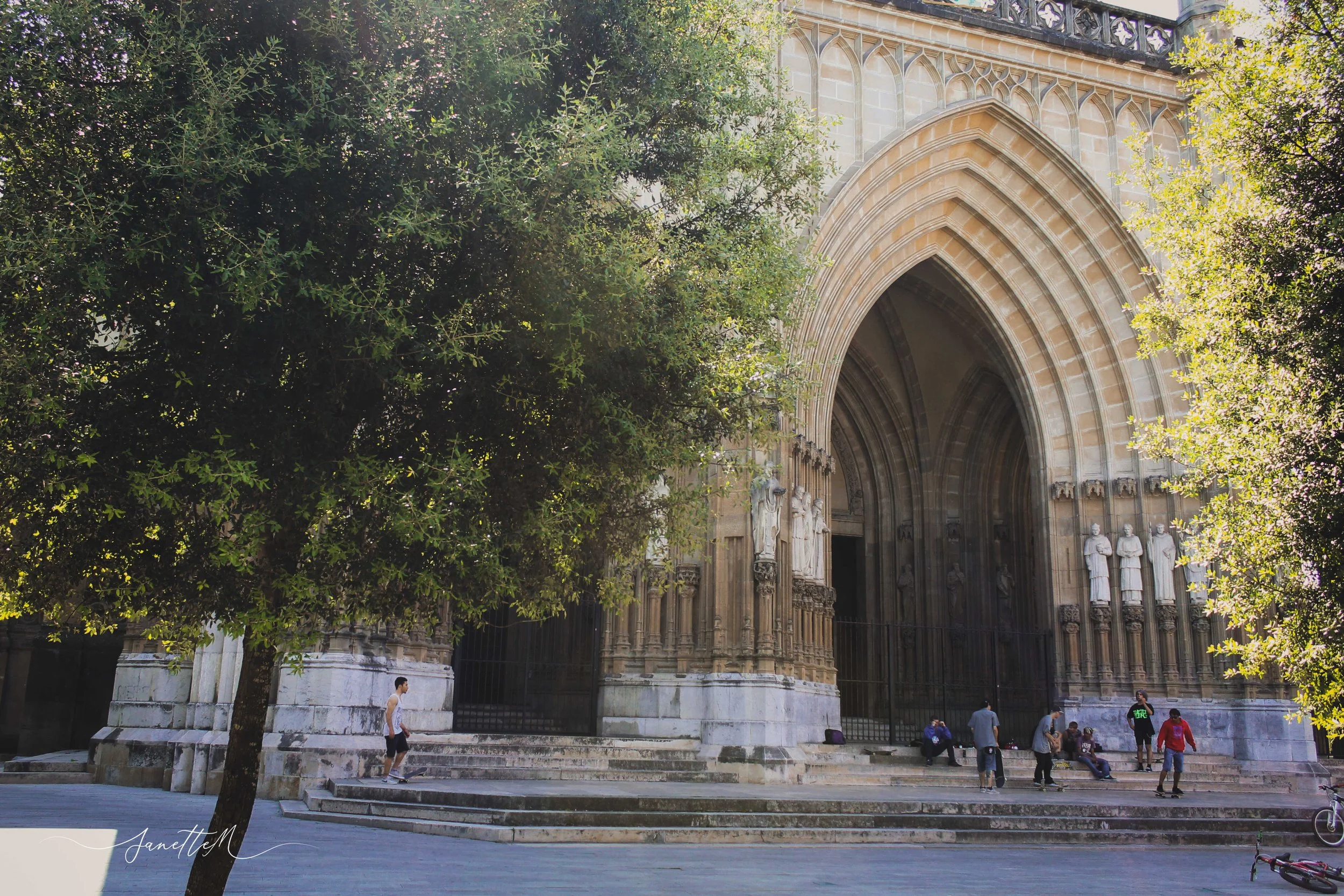 Vista frontal de la catedral con árboles a los lados y personas en las escalinatas.