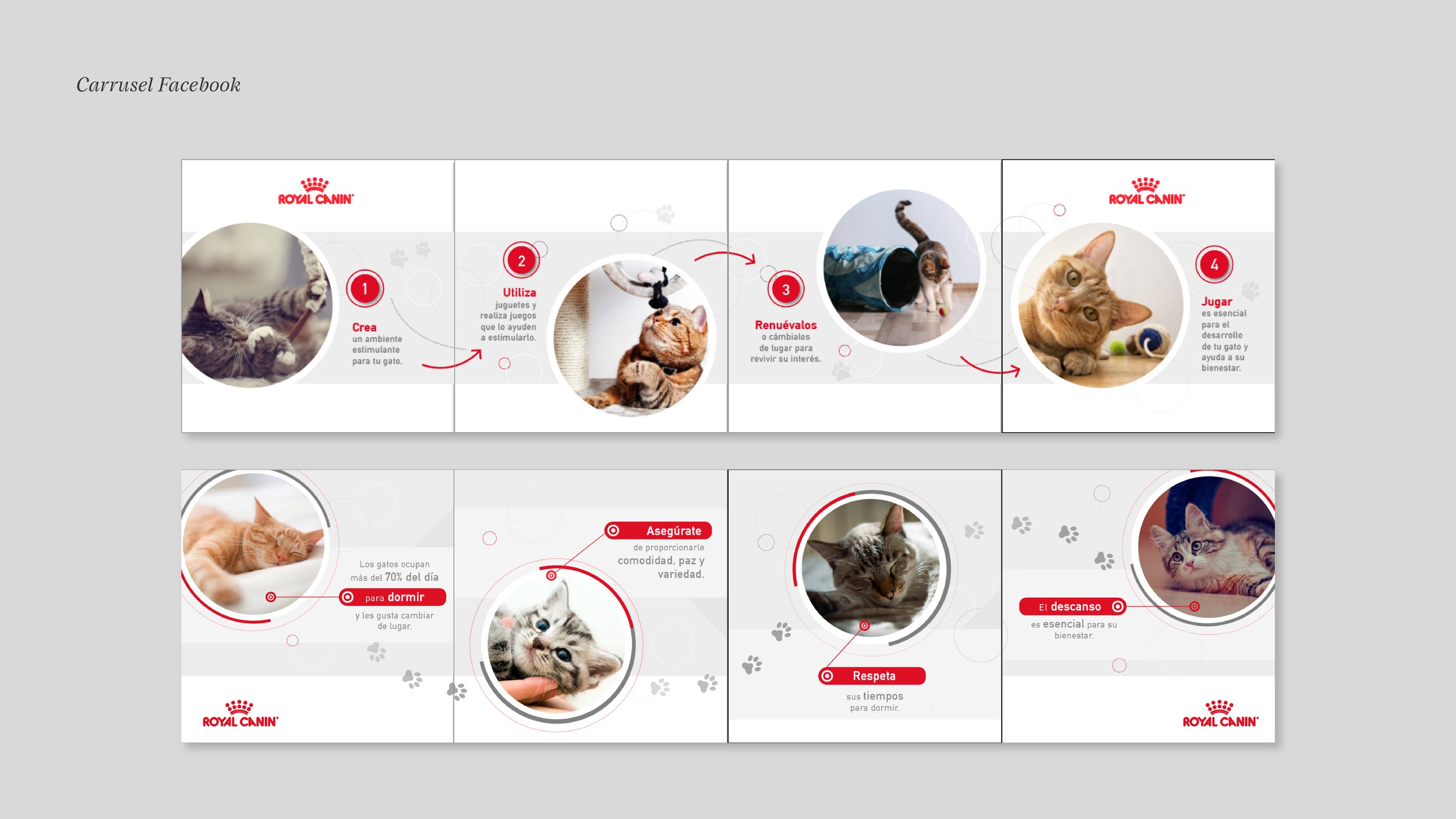 RoyalCaninSM_05_CarruselFB1.jpg