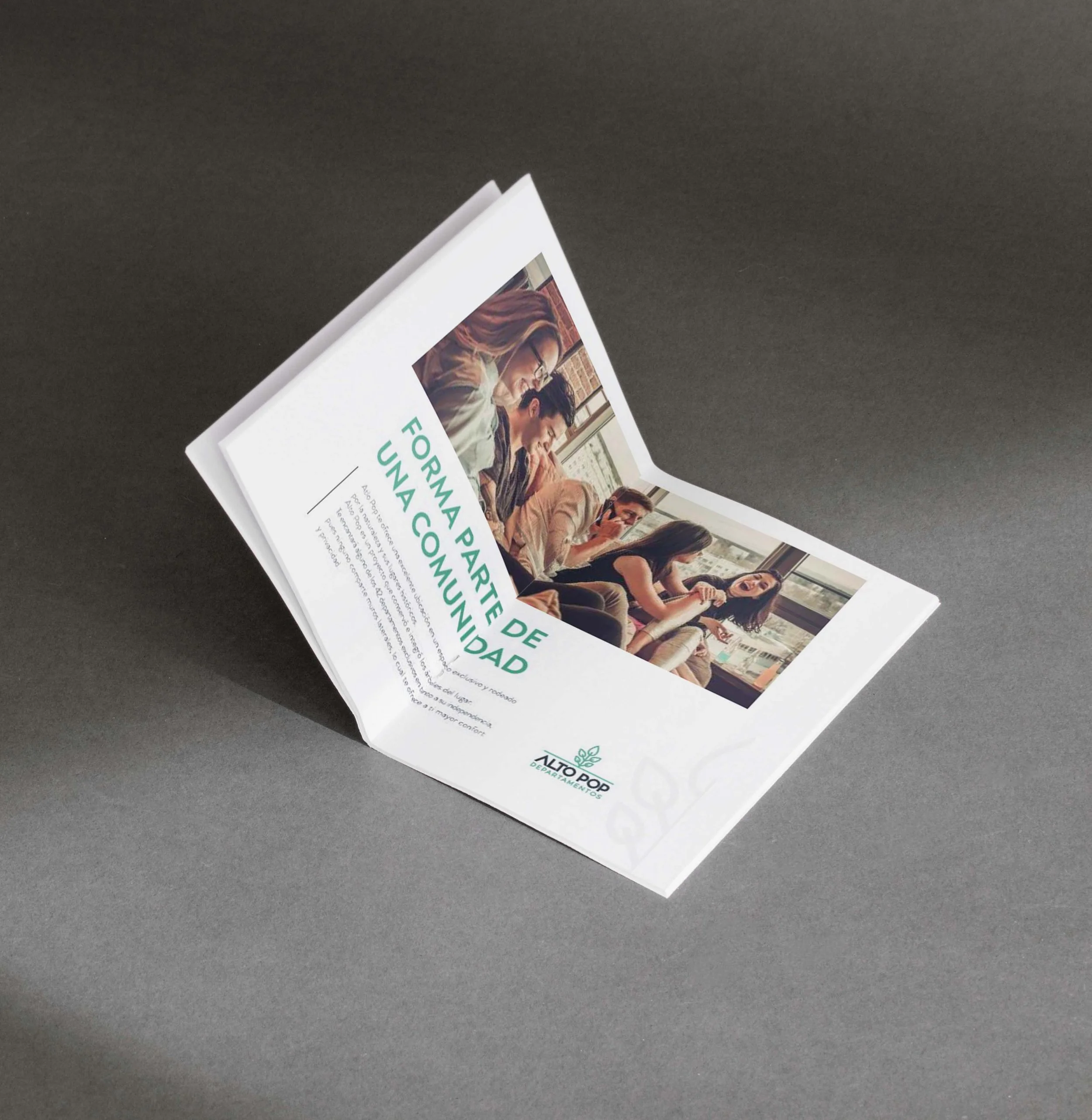 Brochure Inmobiliario - Alto Pop