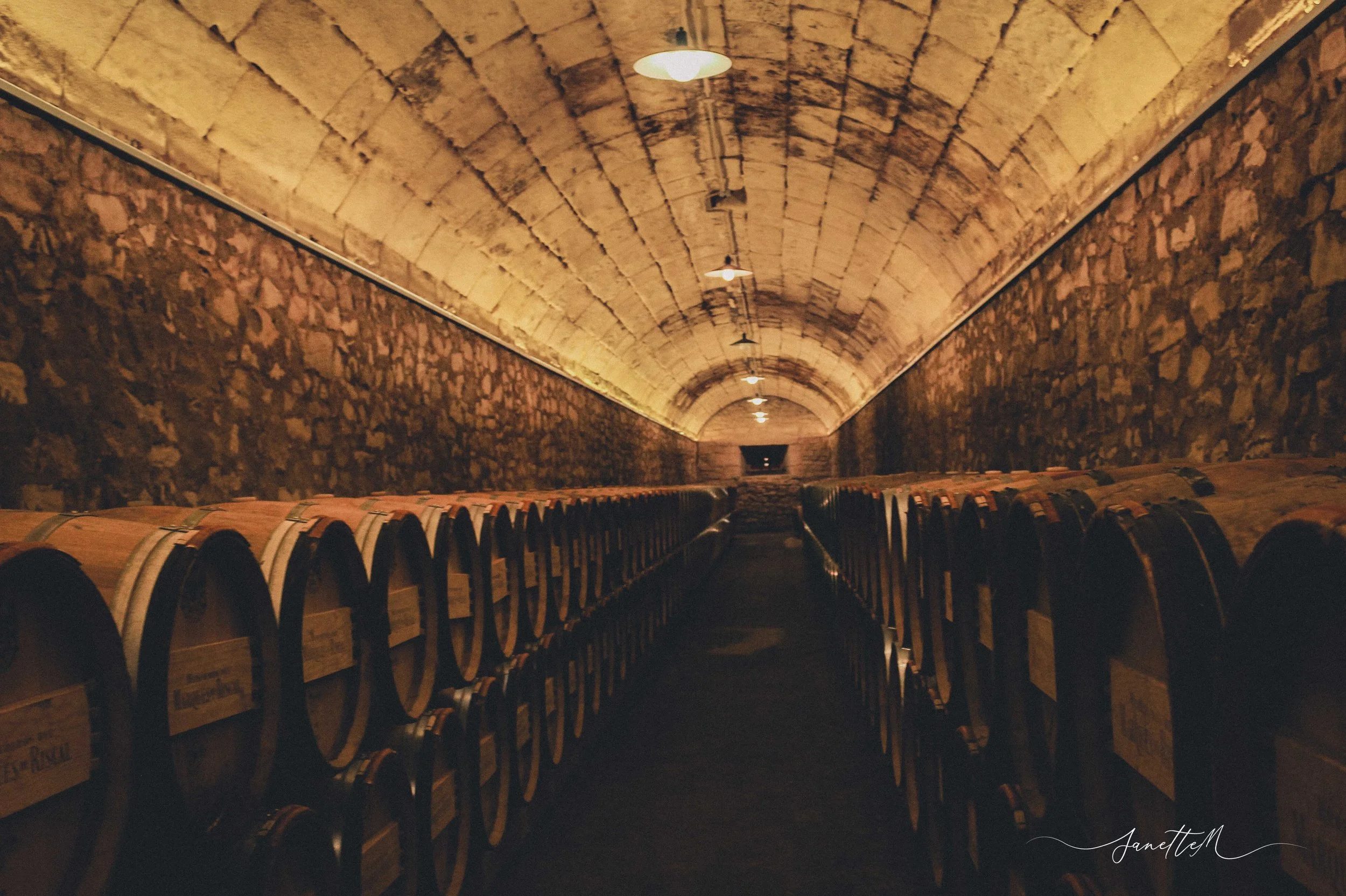 Bodega de vino con barriles de madera alineados en una sala con arcos de piedra en el techo y luces colgantes