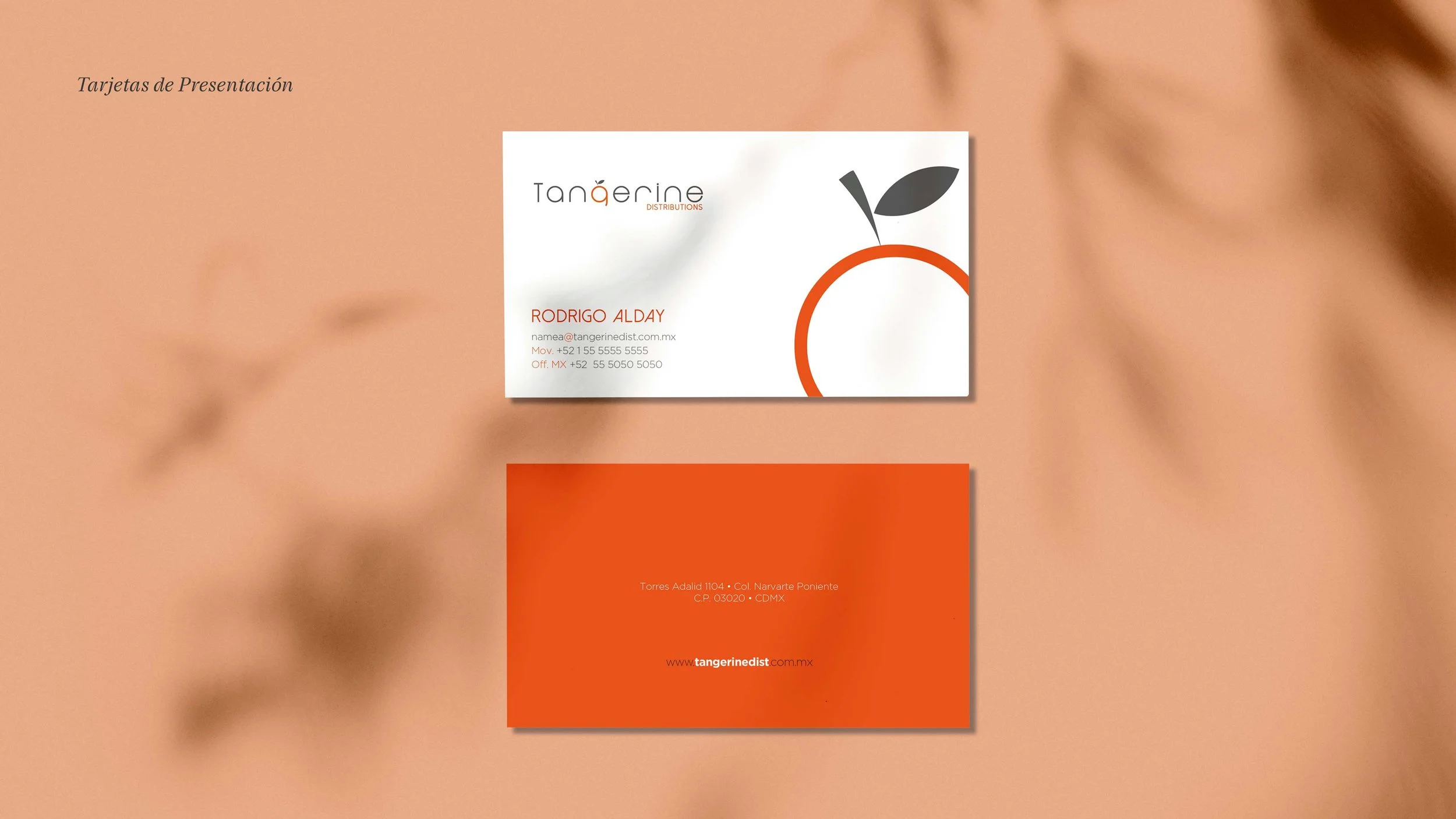Identidad Corporativa - Tangerine Distributions Eyewear