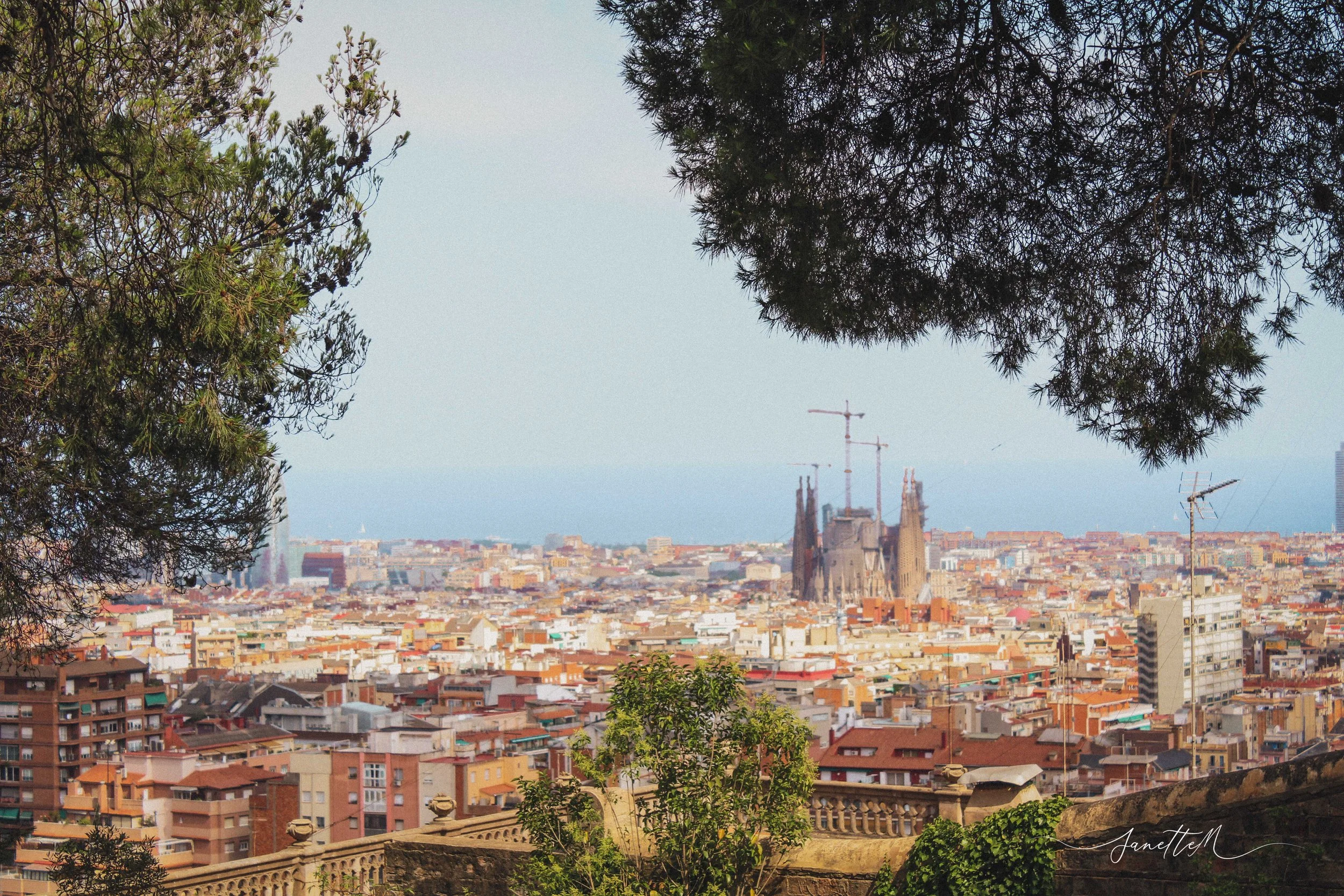 Barcelona - Vista panorámica de la ciudad de Barcelona con la catedral en el centro y el mar al fondo, vista desde un parque con árboles en primer plano.