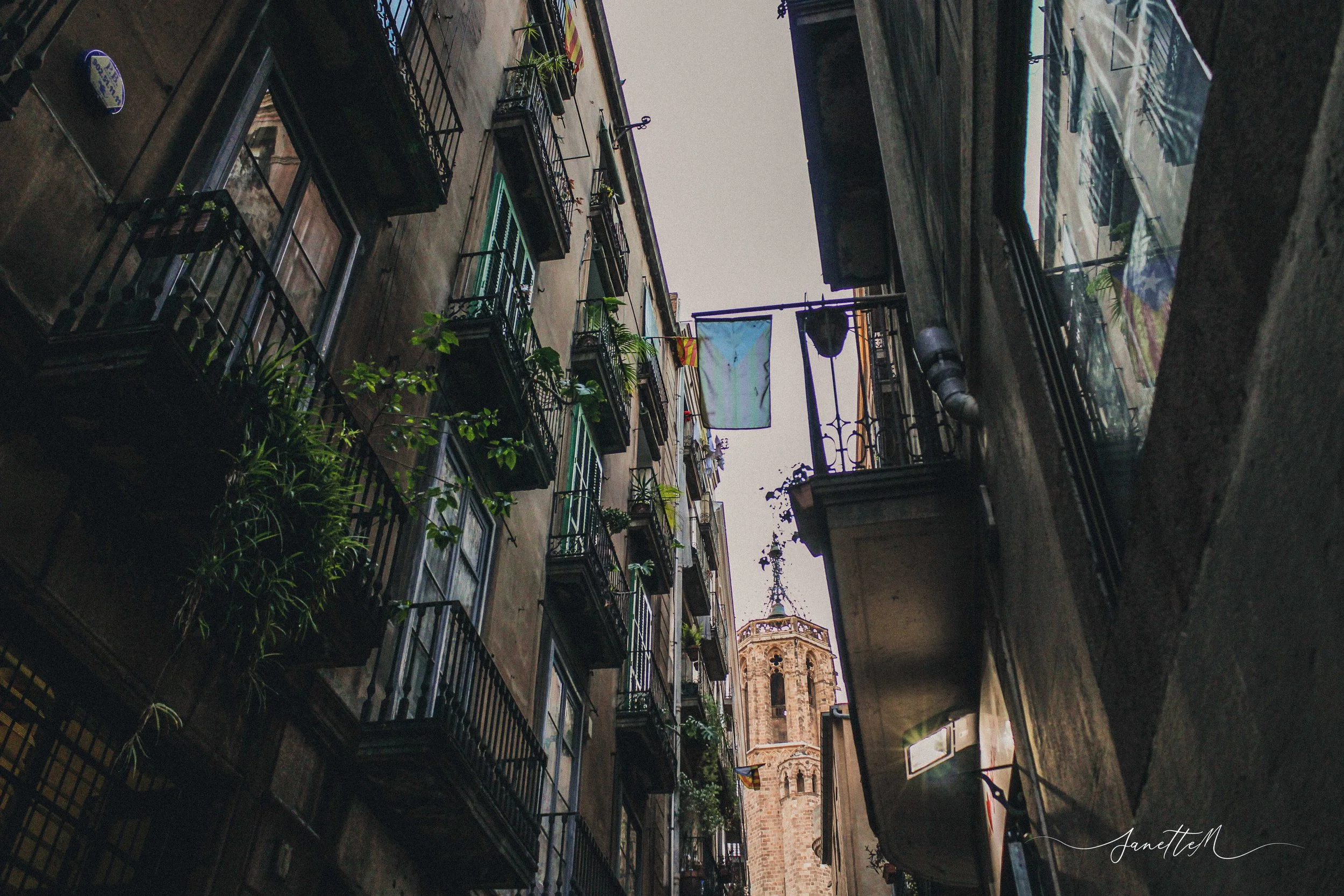 Barcelona - Vista de edificios antiguos con balcones y plantas, con una torre de iglesia en el fondo, en una calle estrecha