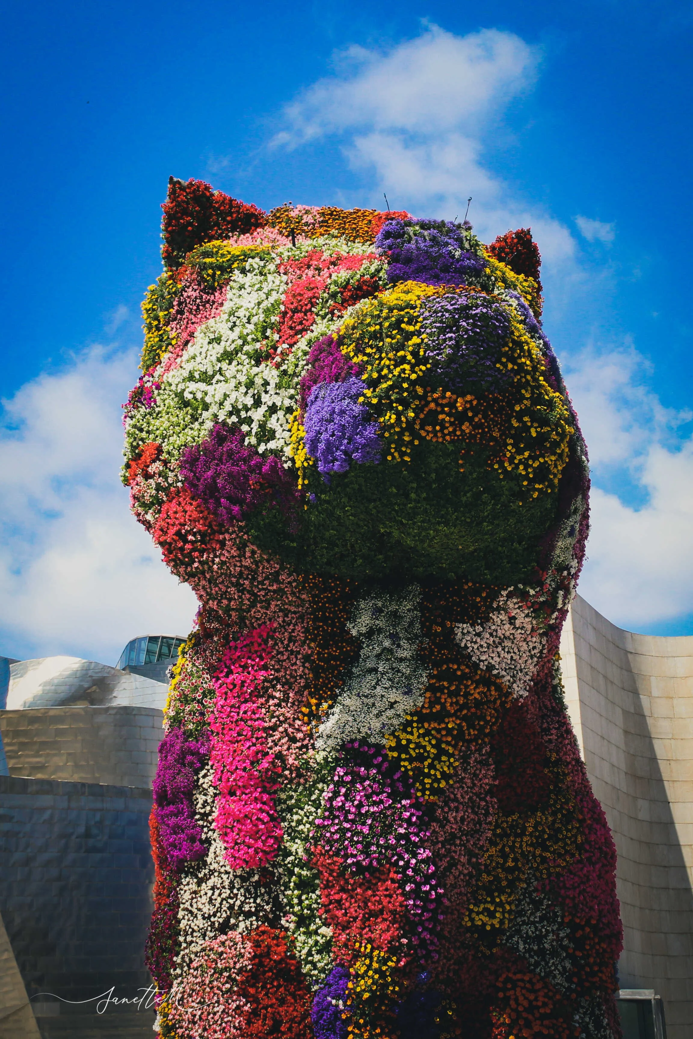 Escultura de un perro hecha completamente con flores de diferentes colores y tipos, diseñada en un estilo artístico y decorativo. Se encuentra en un entorno urbano con edificios modernos y un cielo despejado al fondo.