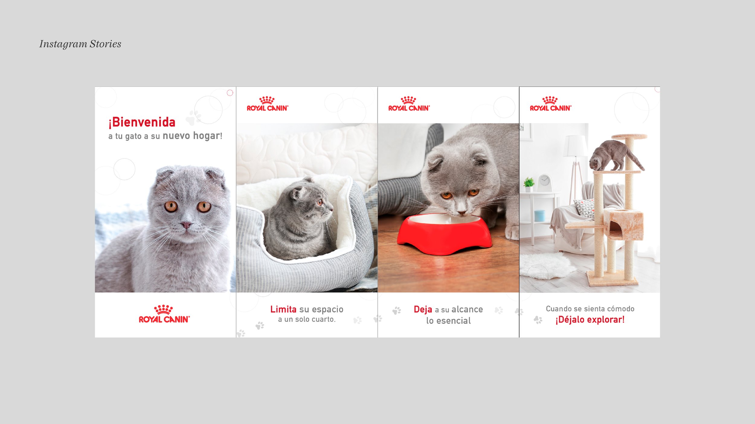 RoyalCaninSM_03_InstagramStories.jpg