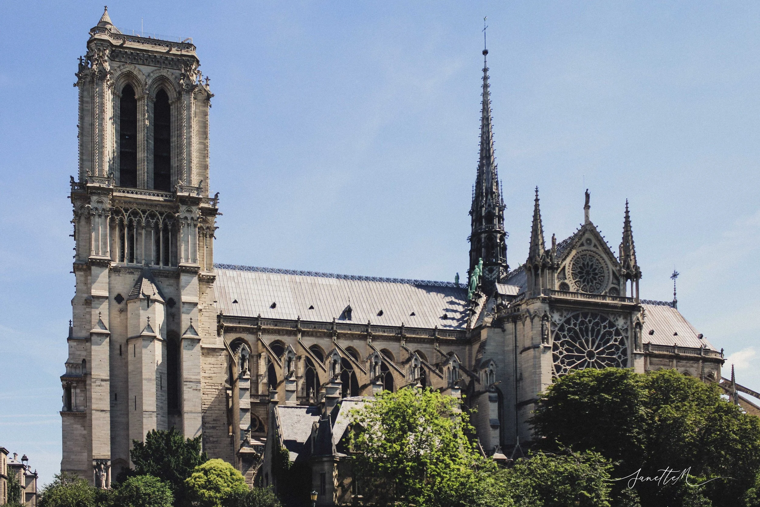 Vista de la catedral de Notre-Dame en París, con torres altas, detalles góticos y rosetones, rodeada de árboles verdes y cielo despejado.