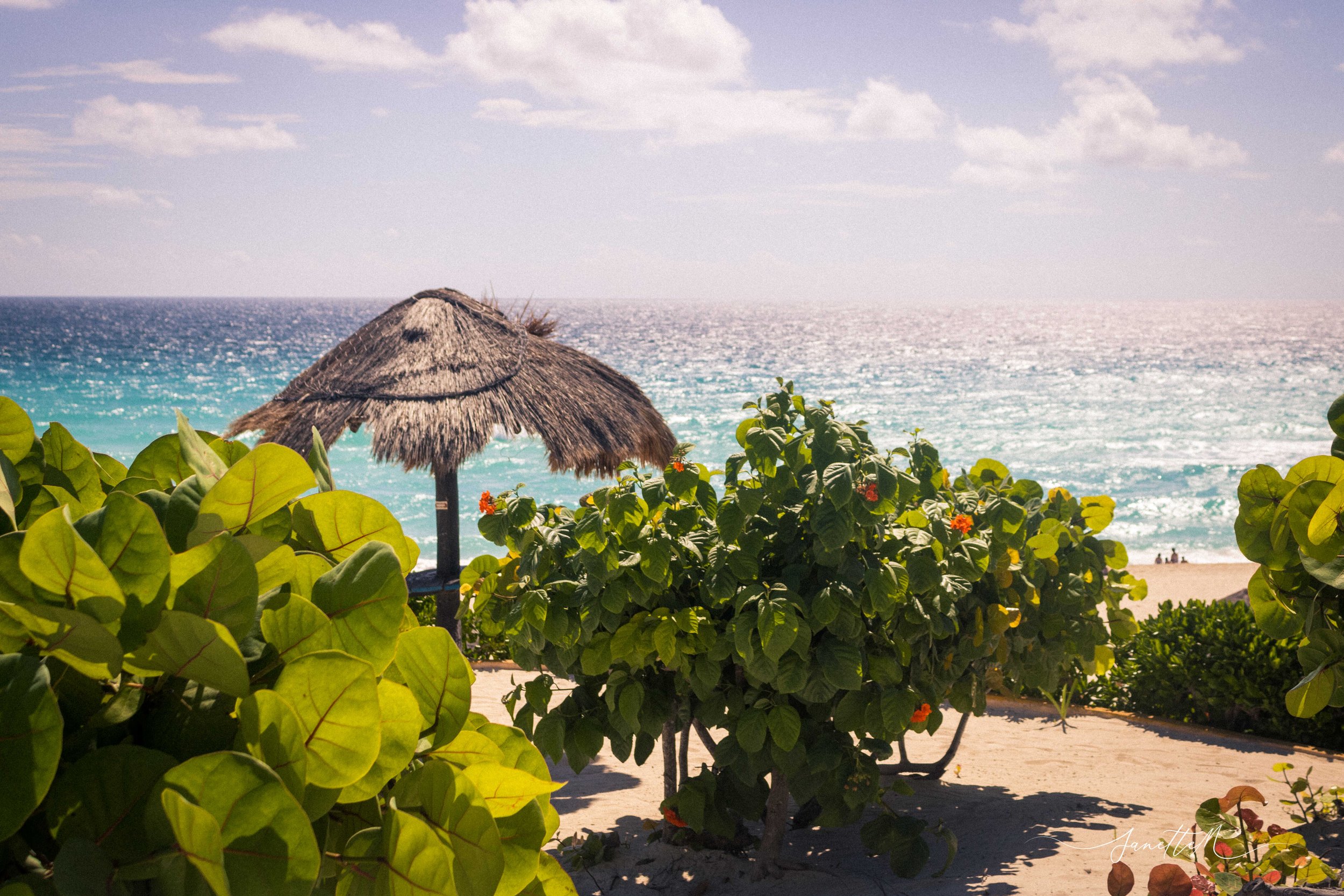 Vista de una playa con sombrilla de paja, vegetación verde y el mar al fondo bajo un cielo parcialmente nublado.