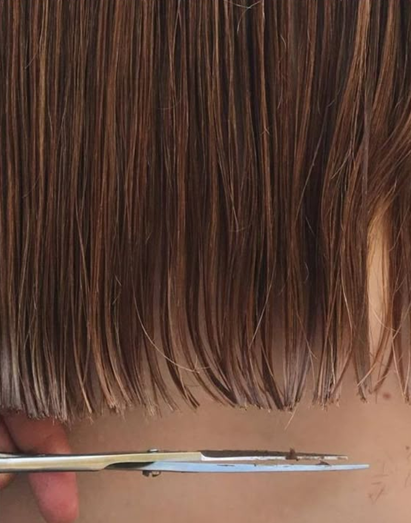 Close-up of a person's brown hair being cut with scissors.