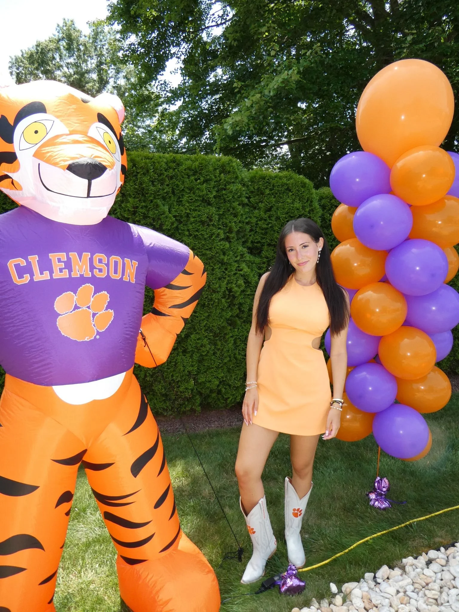 student getting into clemson university