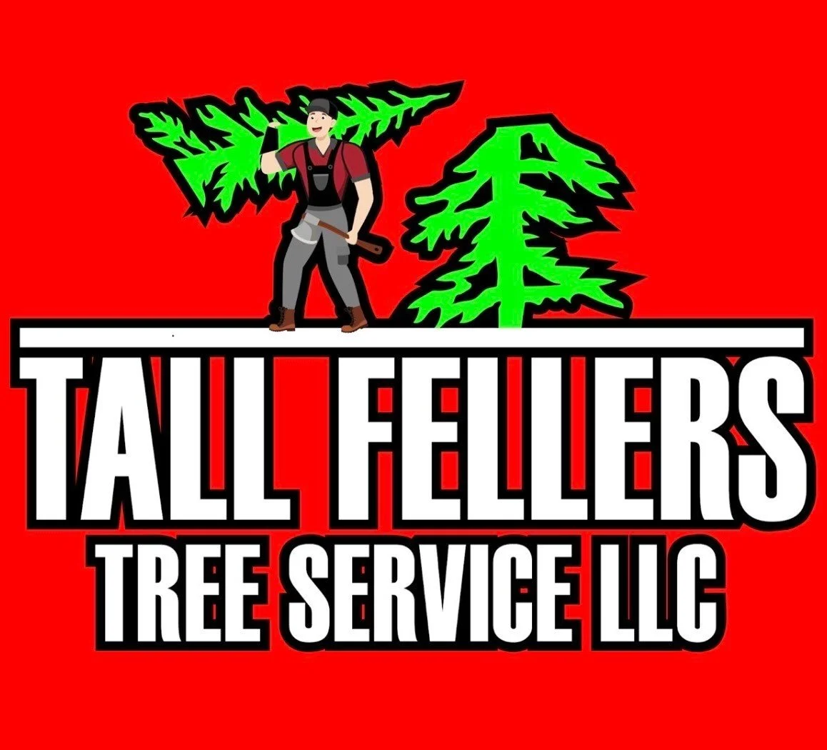 Tall Fellers Tree Service LLC