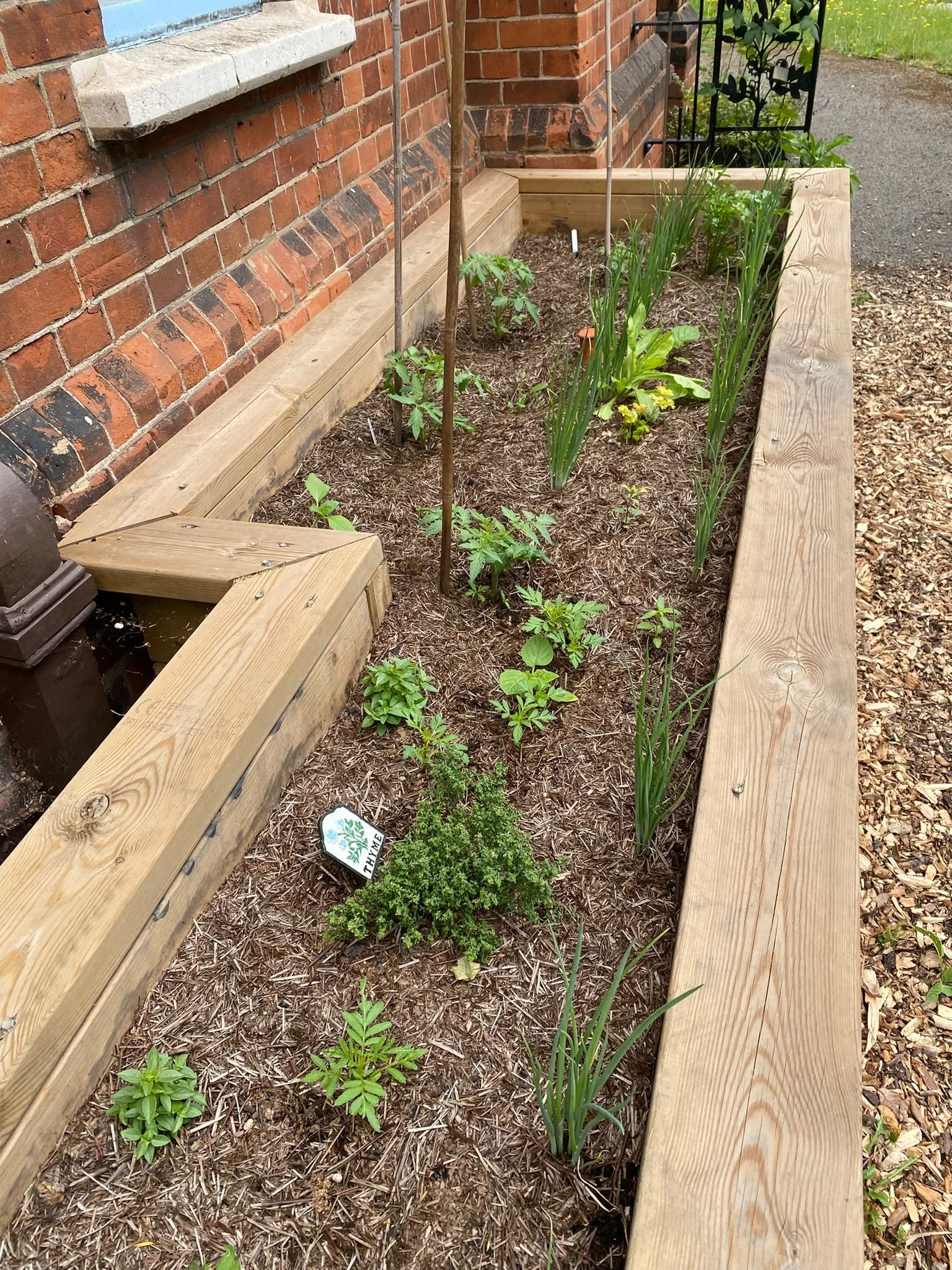 (cont.) herbs,