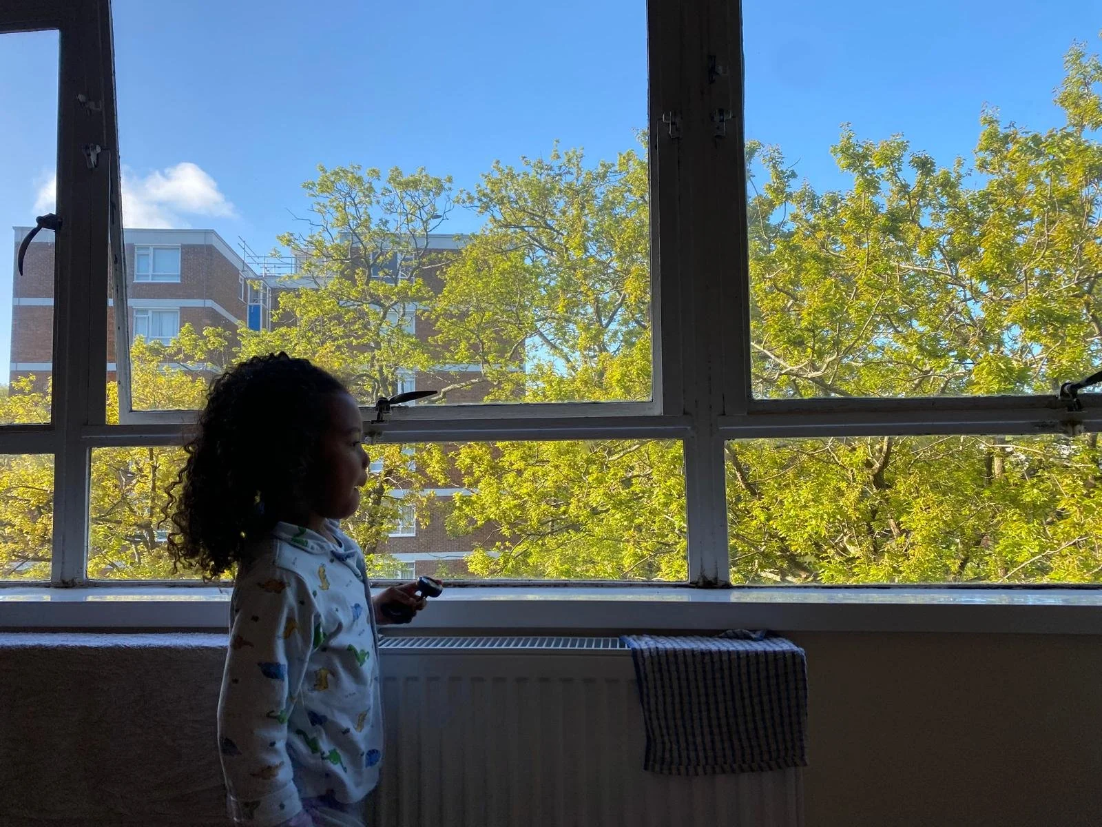 Early Spring in London.

"All the leaves are out! My favorite time of the year in the flat [East London]. The trees are full of birds and squirrels."

By Hannah. Date: 18th April.