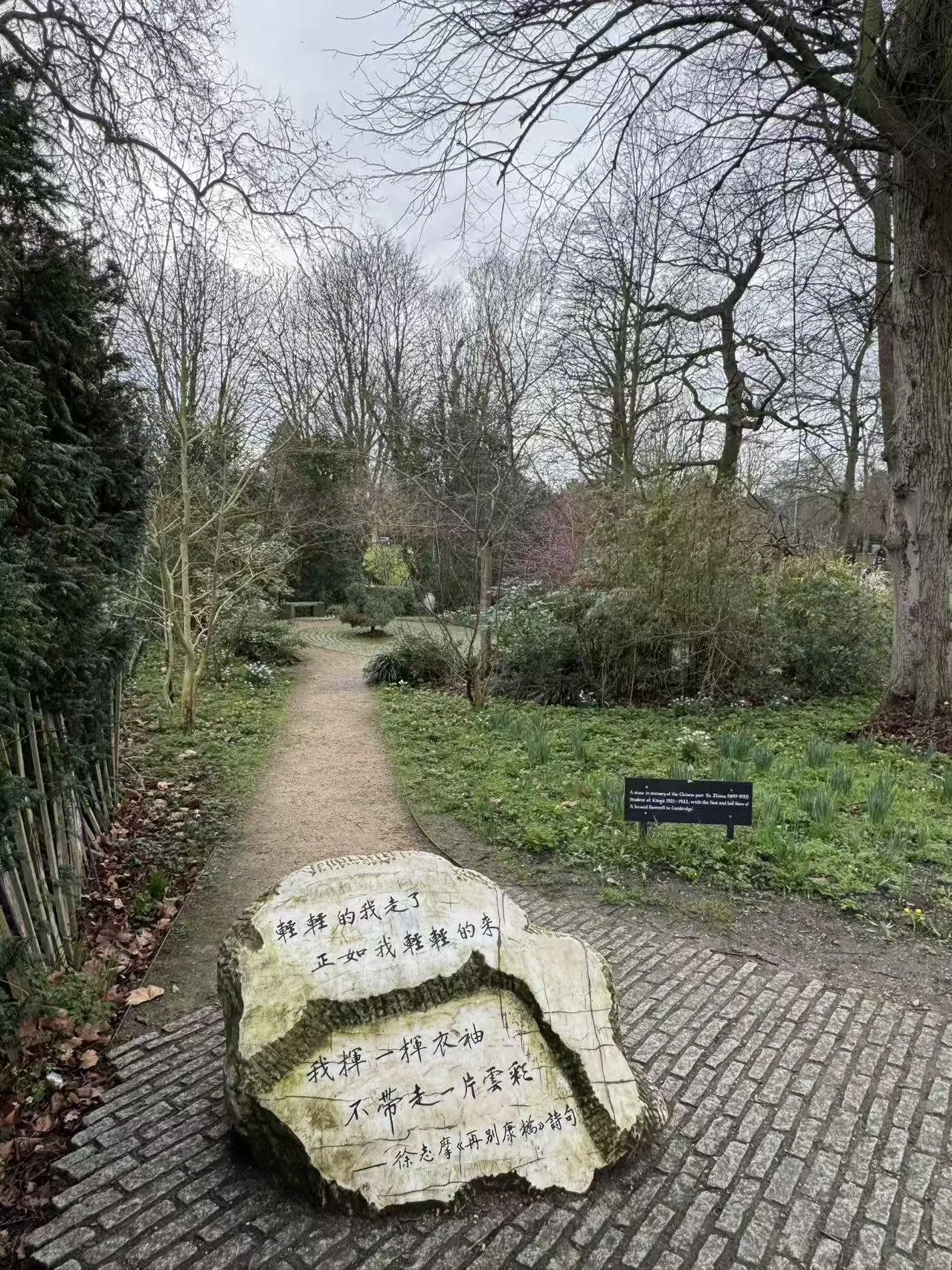 Snowdrops behind the Xu Zhimo Poem Sculpture in King's College, Cambridge.

Submitted by: Faye.
Date: 8th February, 2026.