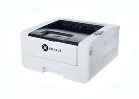 Capsul PB4000 High-Speed Printer