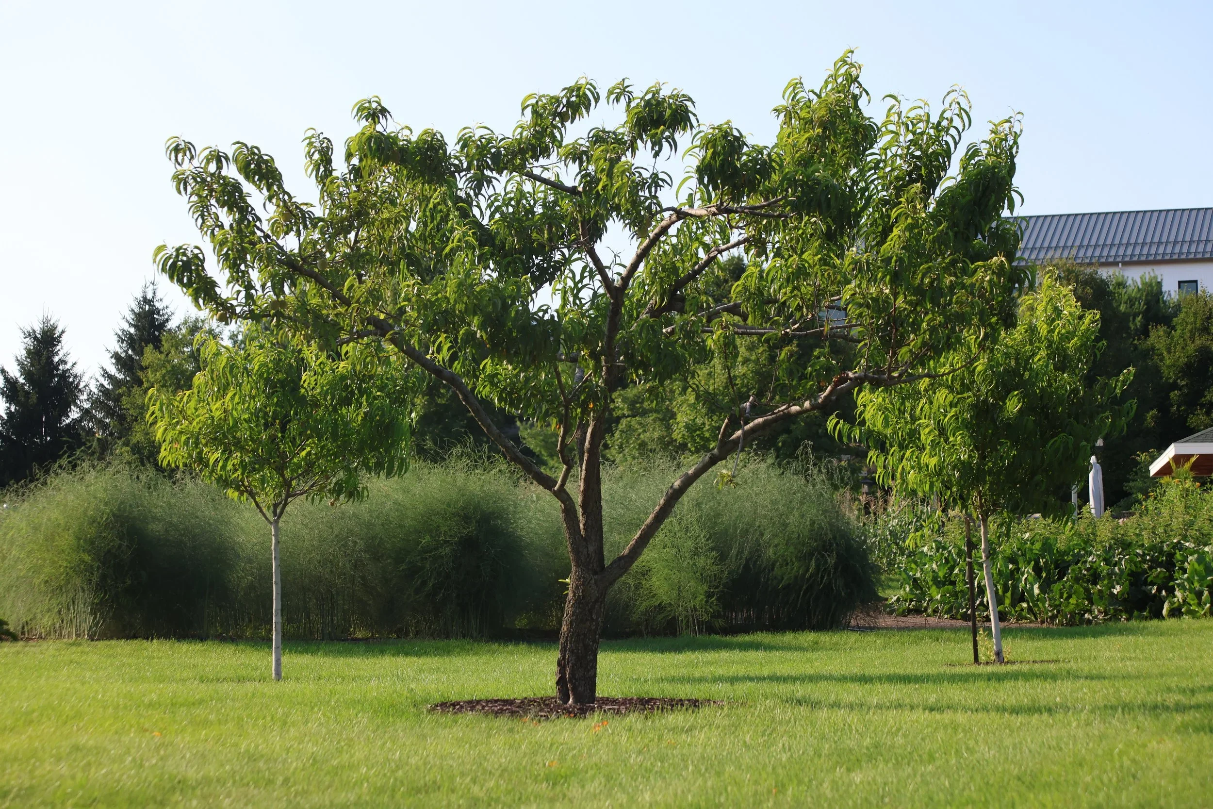 9H4A8388.JPG.webp