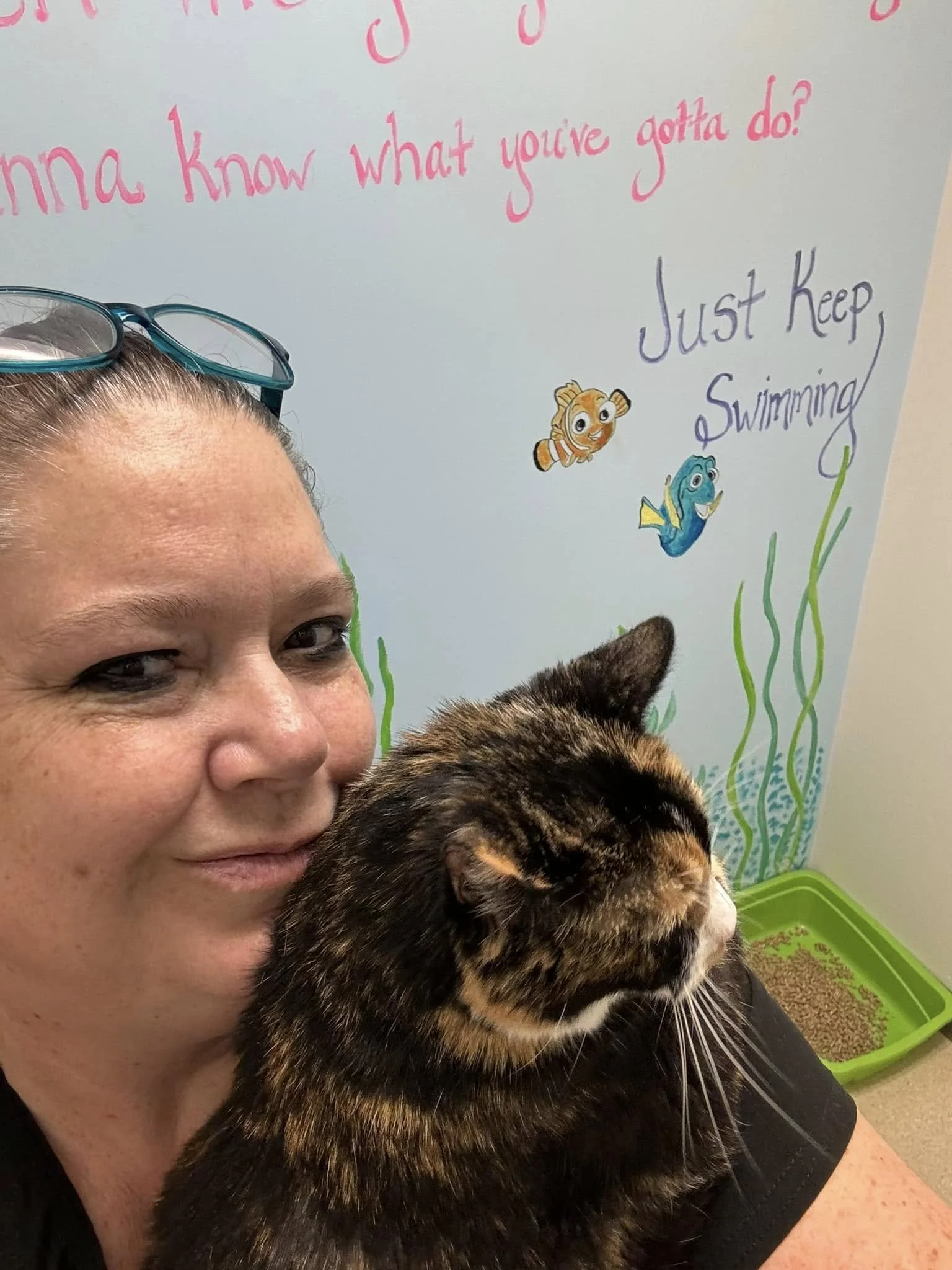 A person with glasses resting on their head and partially visible face holding a large, fluffy, multicolored cat with stripes and patches of black, brown, and orange. They are seated in a room with a light-colored wall decorated with aquatic-themed drawings and writings, including colorful fish and seaweed, with a green litter box in the corner.