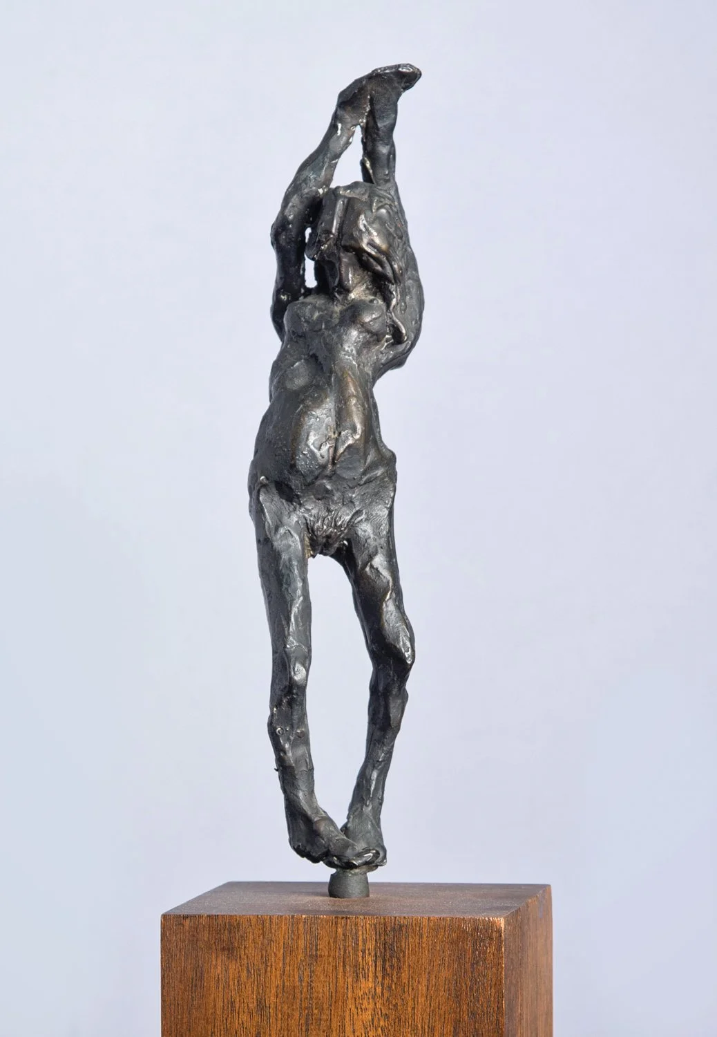 _MG_2642Renato Rampolla.jpg