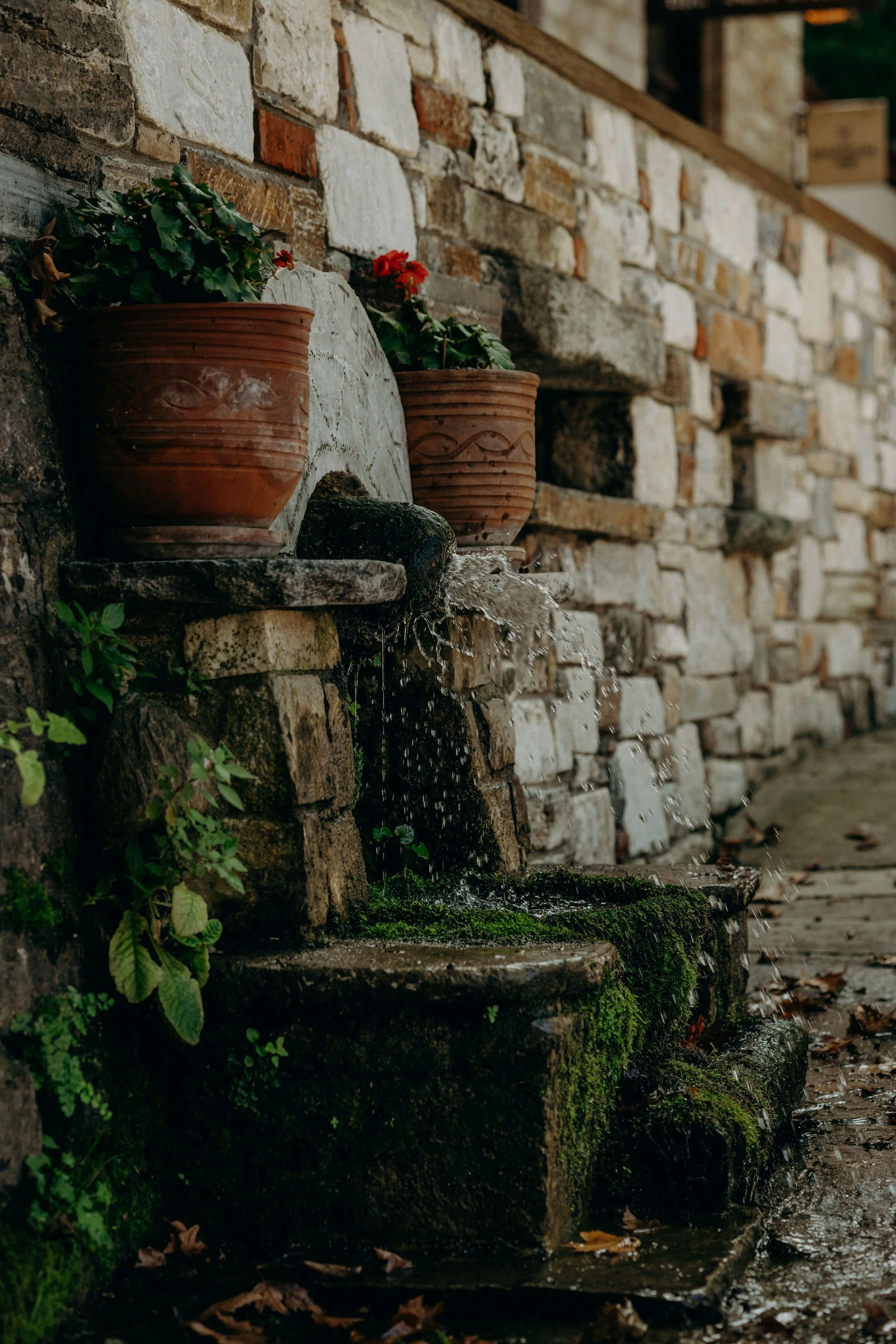 Nefeli_Nine_Retreats_Pelion_Homes_2023_147 (1).jpg