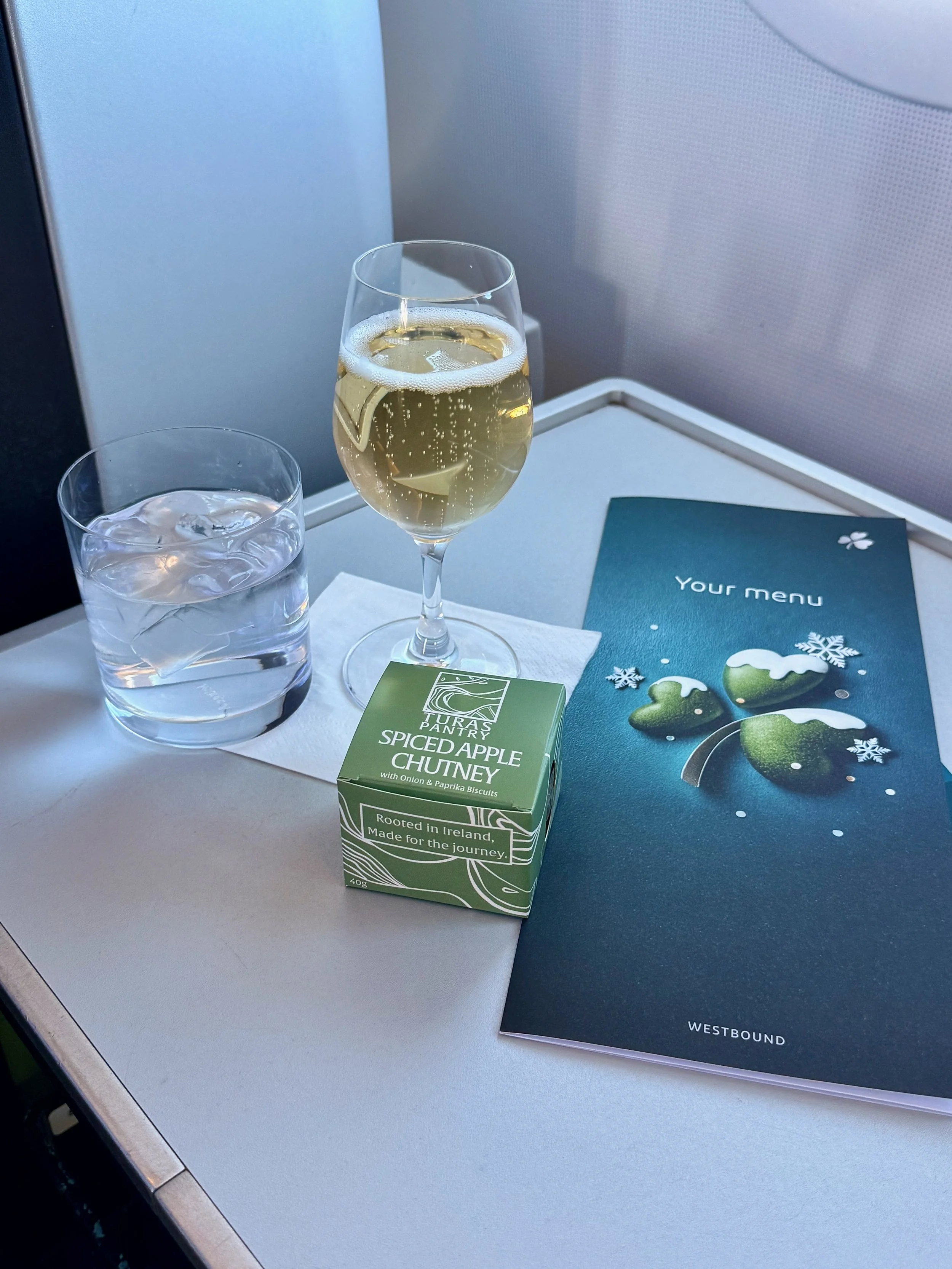 Aer Lingus Business Class Shannon to New York JFK