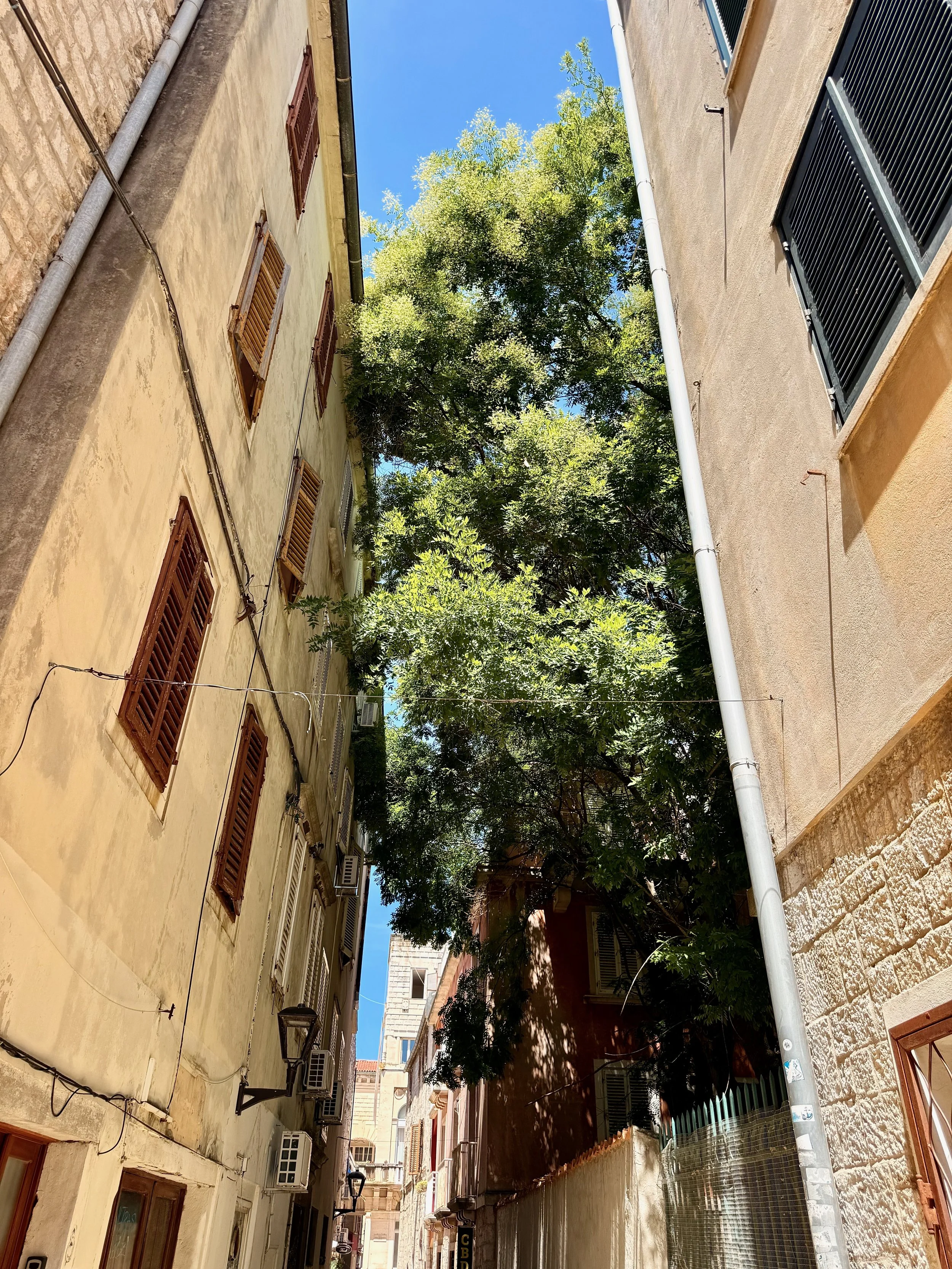 Zadar, Croatia | An Afternoon Through the Old Town