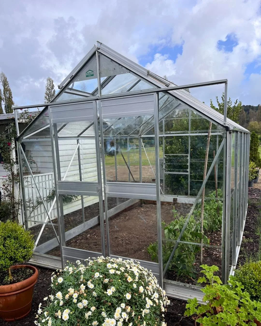 With all the wet weather this week I decided to wash my glasshouse inside and out. Easy to do with everything damp. What a satisfying job. Love the end result. It looks new again. And will allow a lot more light in to keep the plants inside nice and 