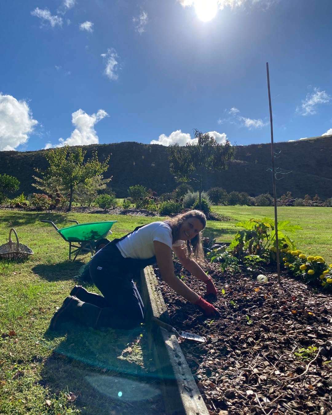 Onions, broccolis and silver beet are planted again in the garden. I love being able to grow and eat fresh veggies. It&rsquo;s amazing what you can grow in a small (or big) space. If you&rsquo;re thinking about growing veggies, make a plan and just g