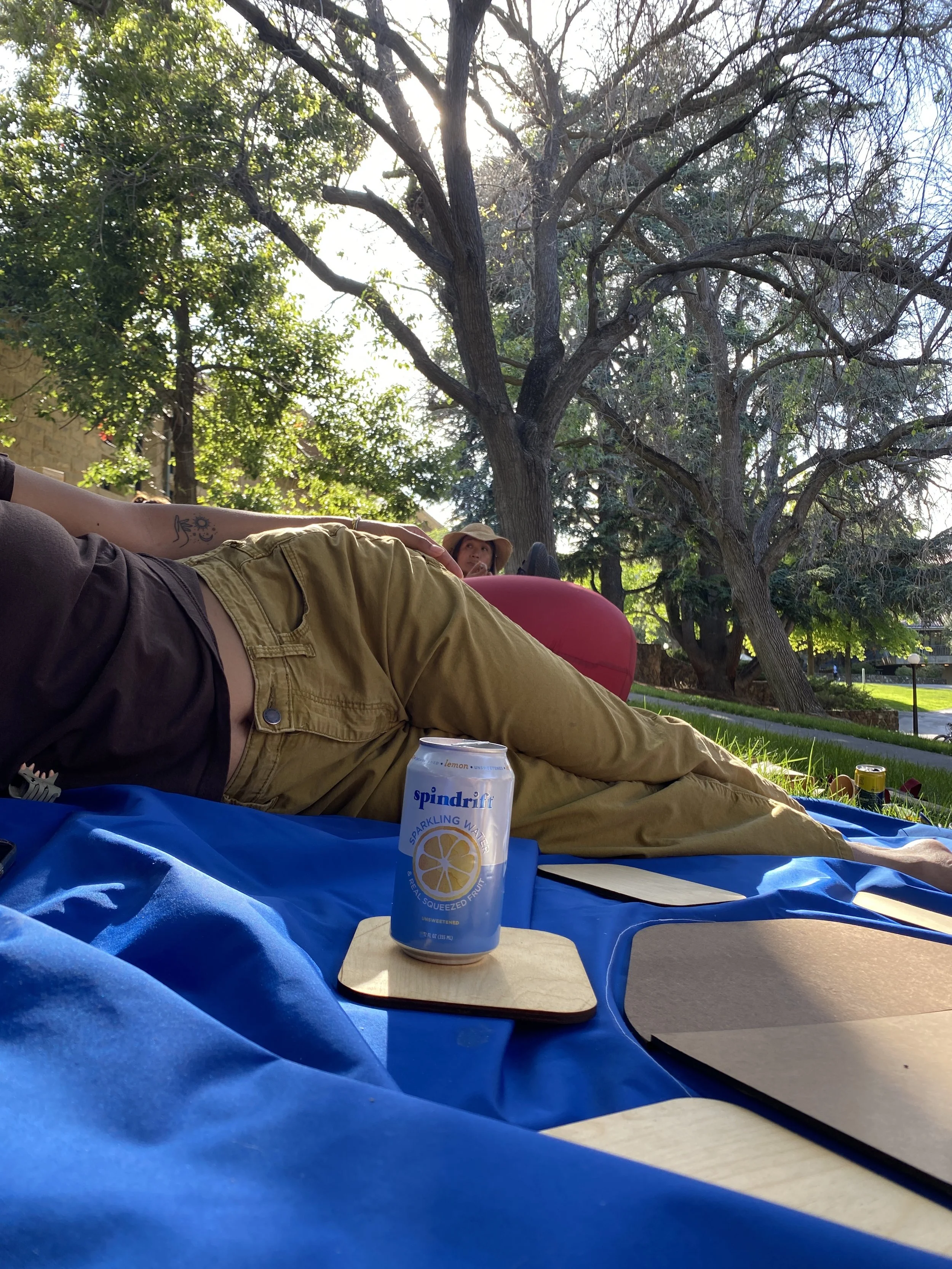 Person lying on a blue blanket outdoors, holding a can of Spindrift sparkling water, with another person sitting back against a tree in the background, in a park with trees and sunlight.