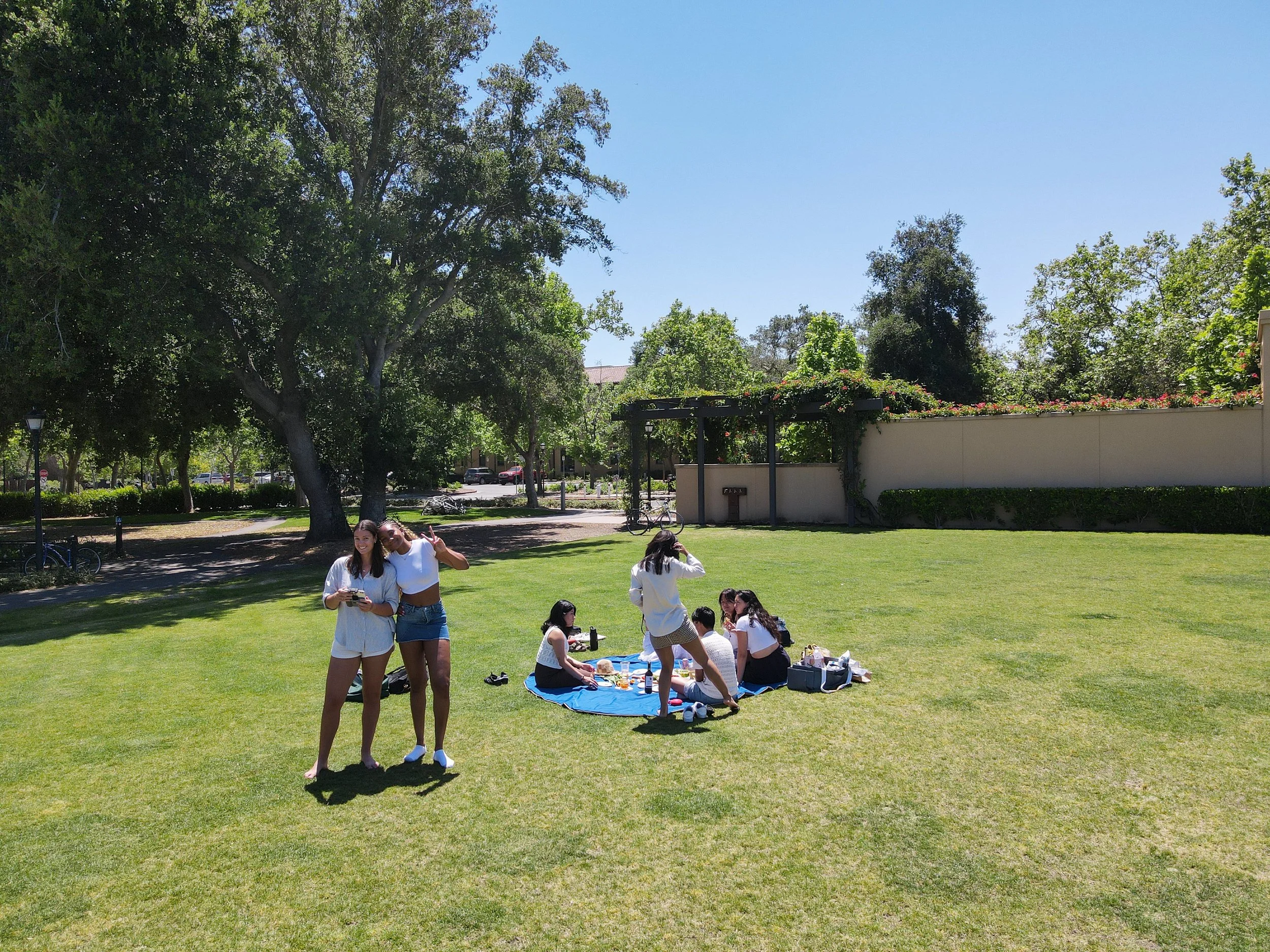 Group of friends having a picnic on a sunny day in a park with green grass and trees, some people sitting on a blue picnic blanket and others standing.