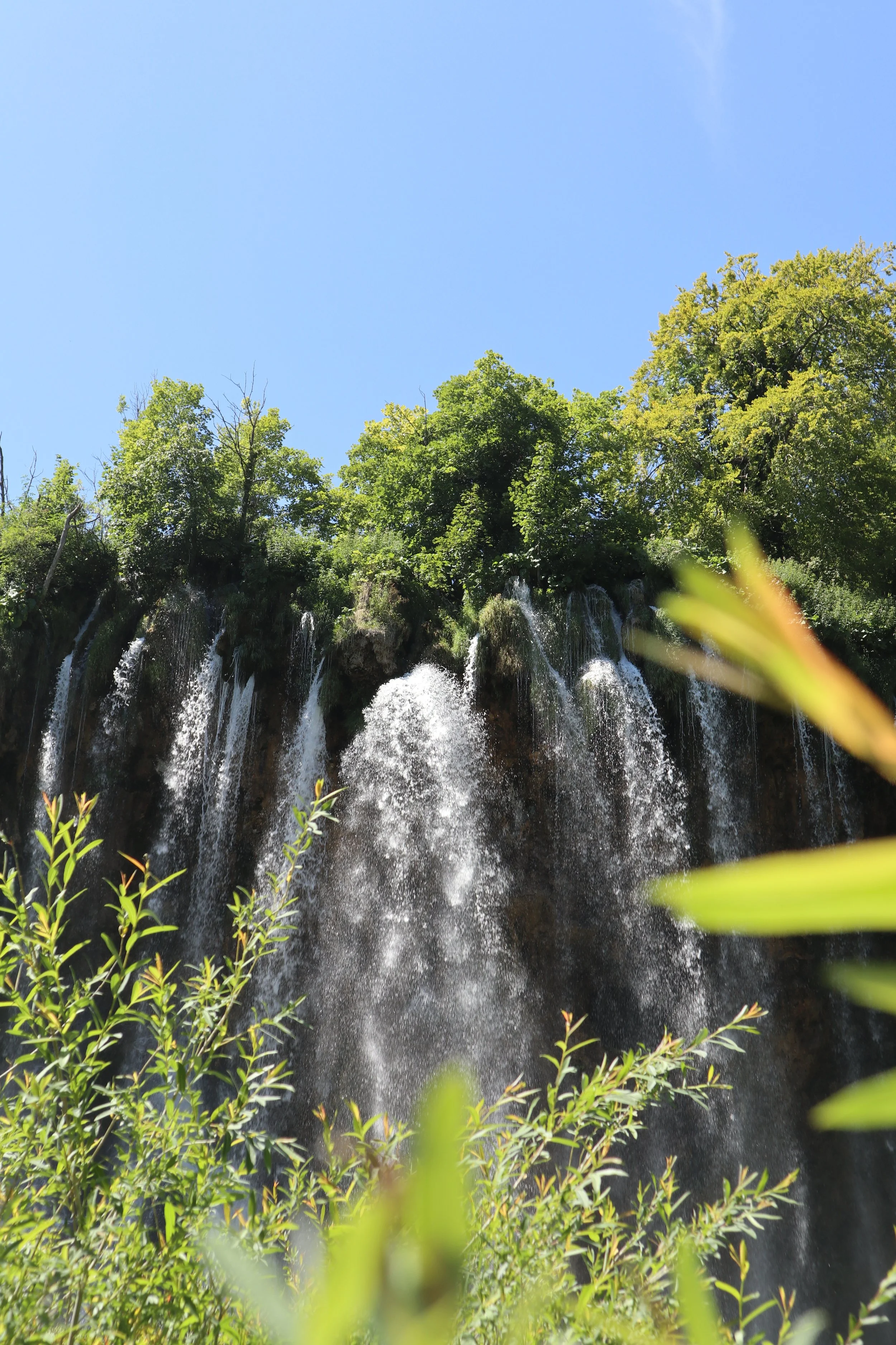 Waterfall surrounded by green trees and bushes under a clear blue sky.