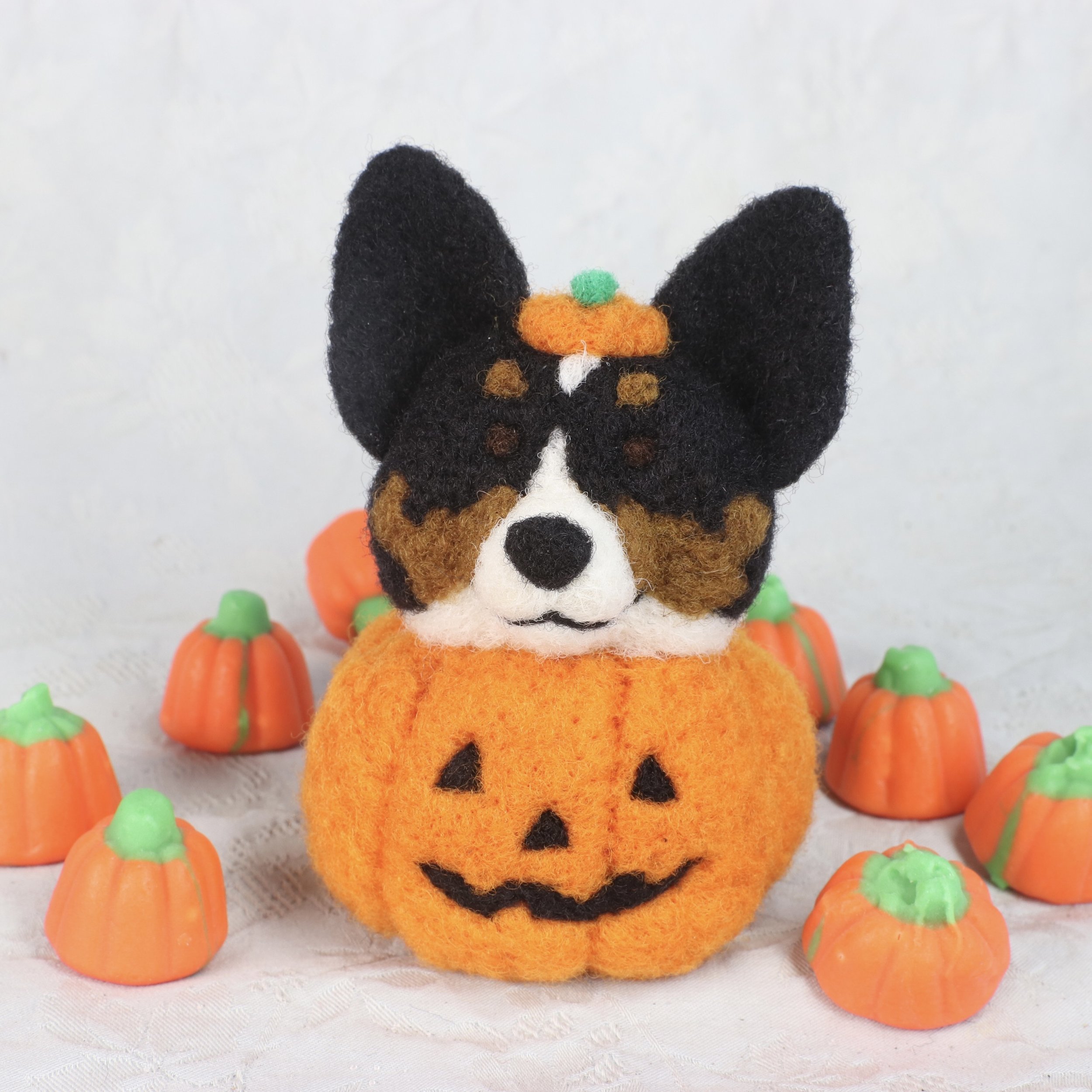 Pumpkin Pup: Black Tri
