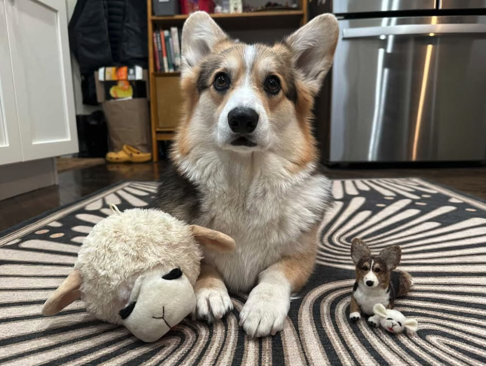 Screen Shot 2026-01-06 at 4.43.11 PM.png