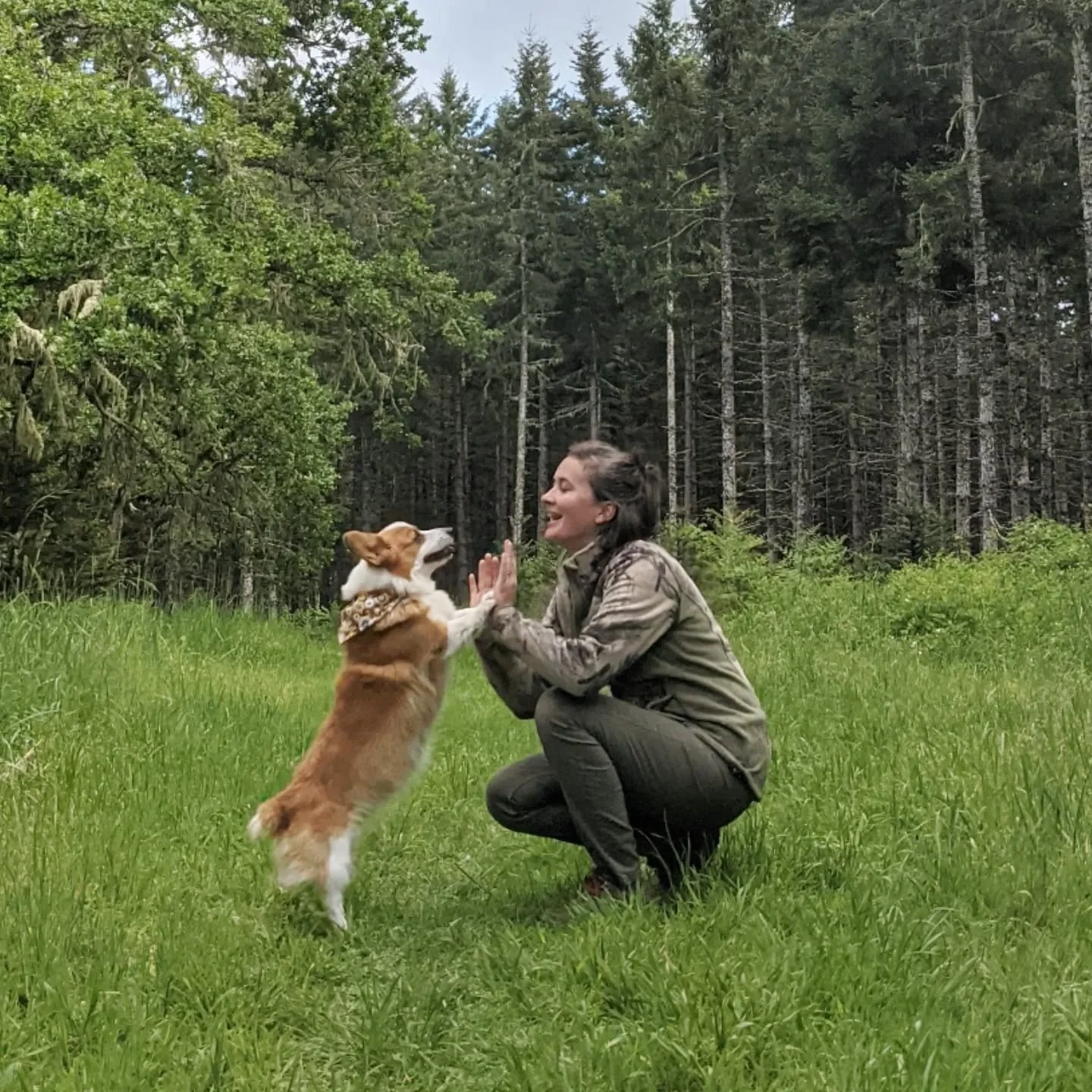 In 2019 Pocket and I hiked the same trail at Beazell Memorial Forest every week and snapped a pic at the summit. It was the last year she could do the hike with her own legs. She started out the year hiking the whole route and finished the year mostl